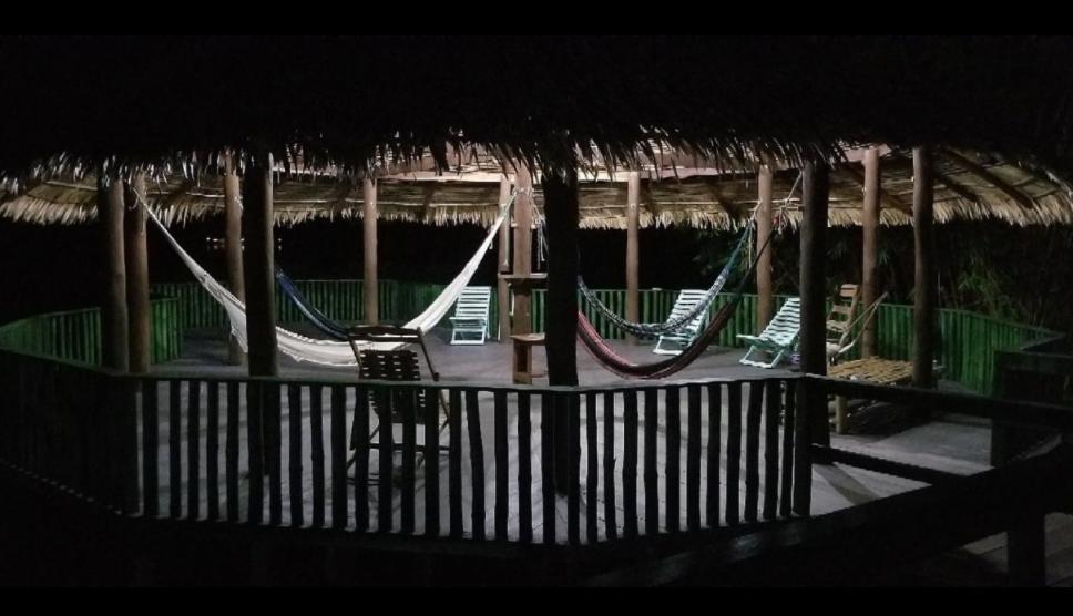Amazônia Exxperience