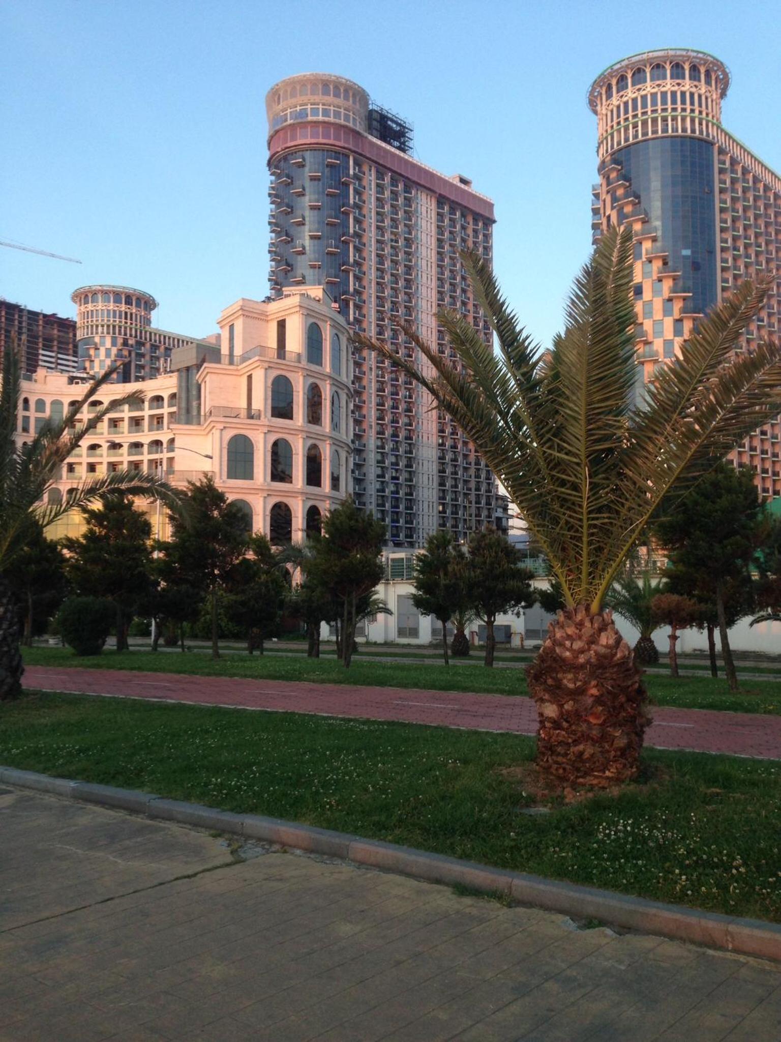 Photo 8