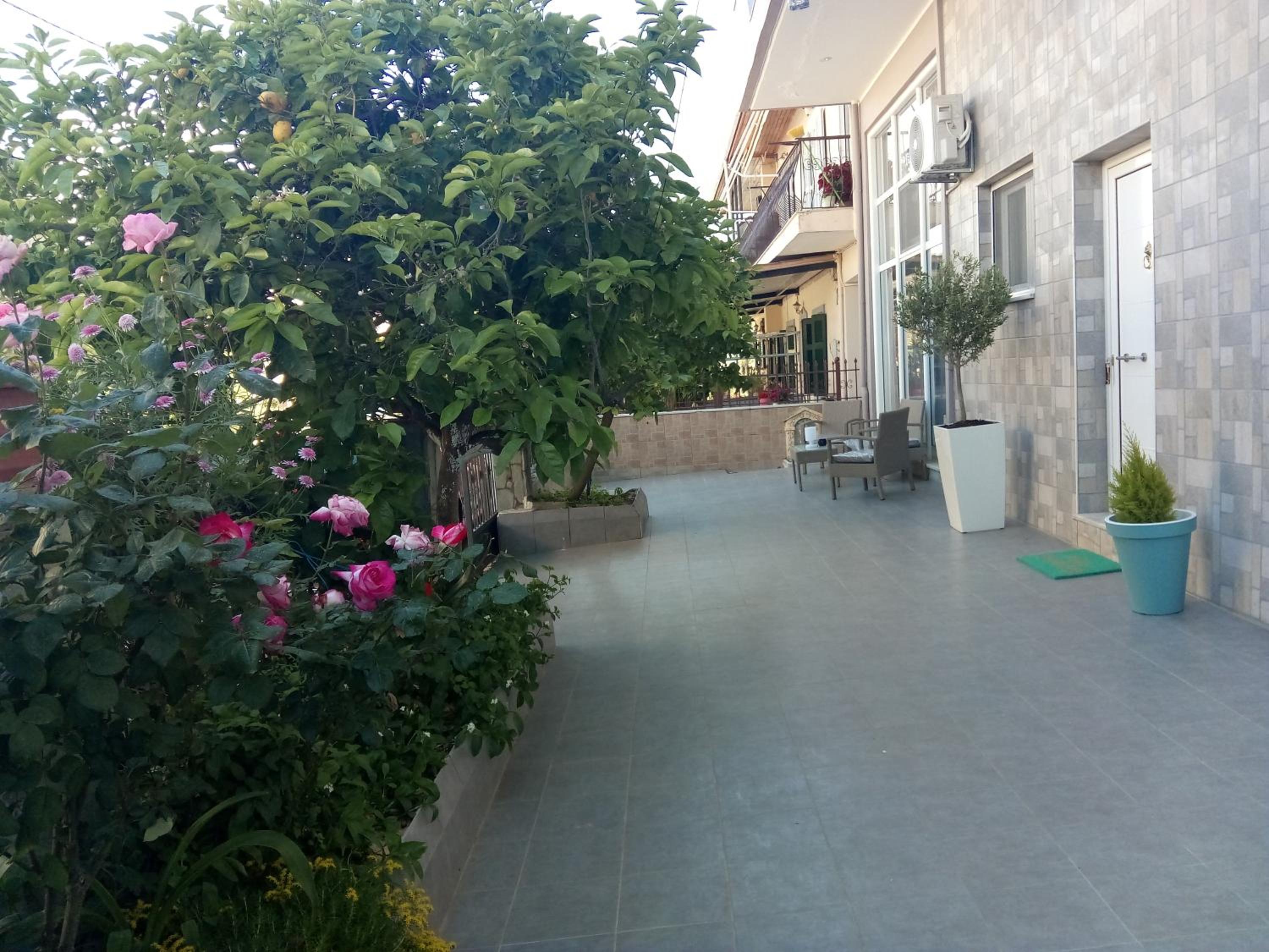 Photo 8