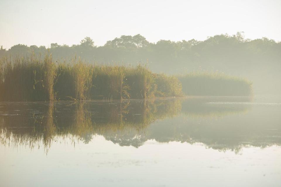 ASKIESBOS - Samochima Bush Camp