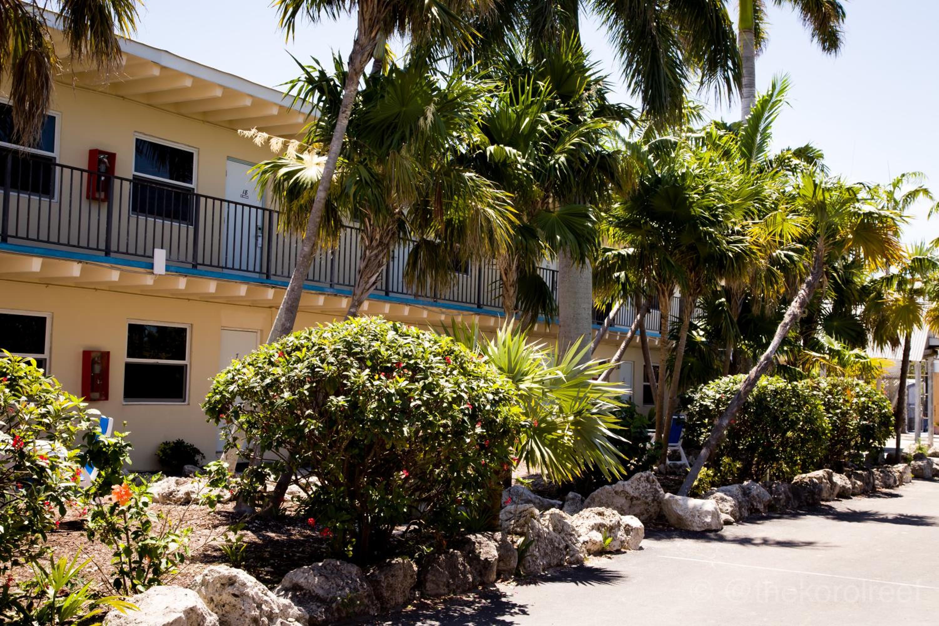 Looe Key Reef Resort and Dive Center