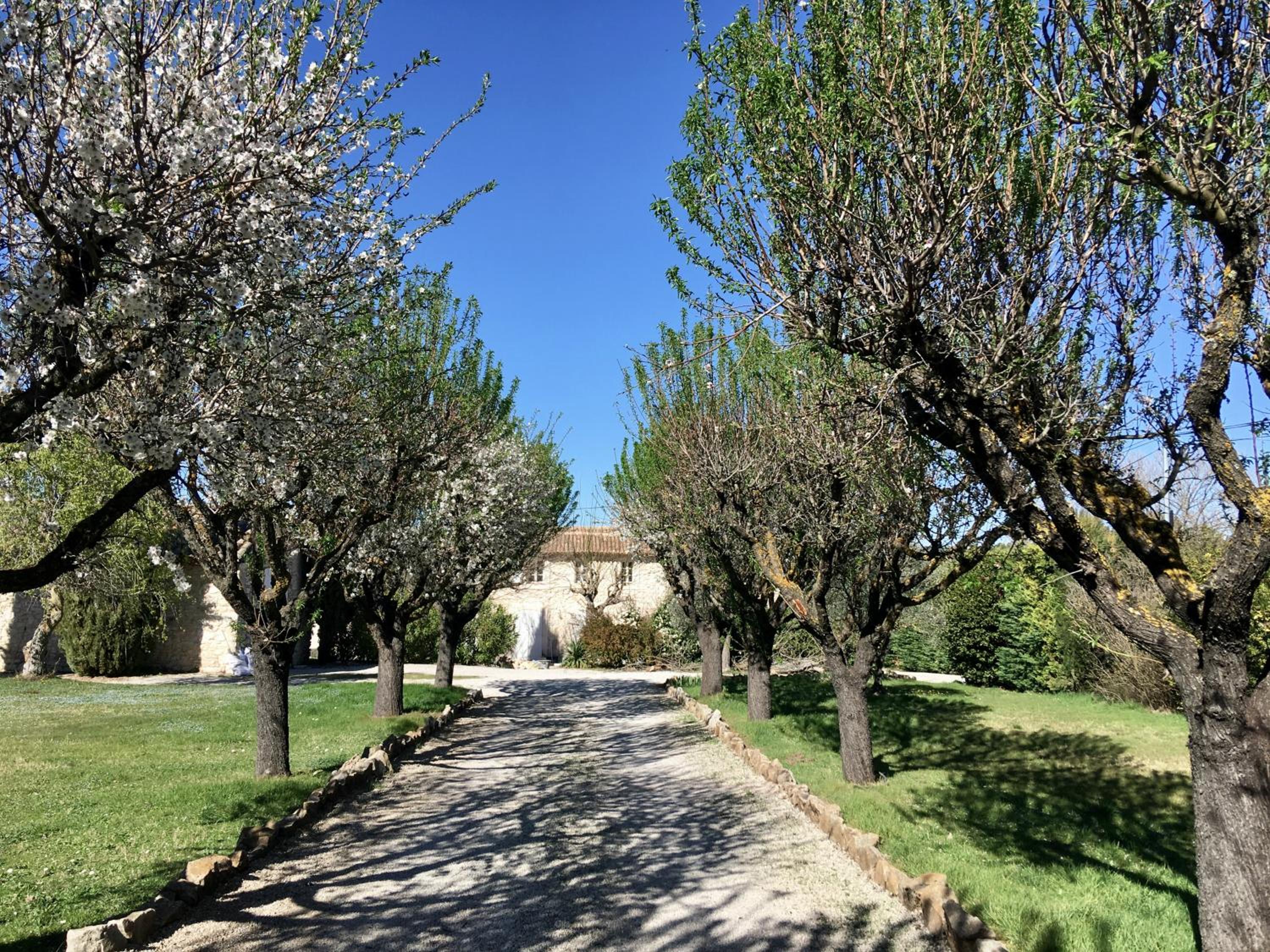 Domaine de Carraire photo 3
