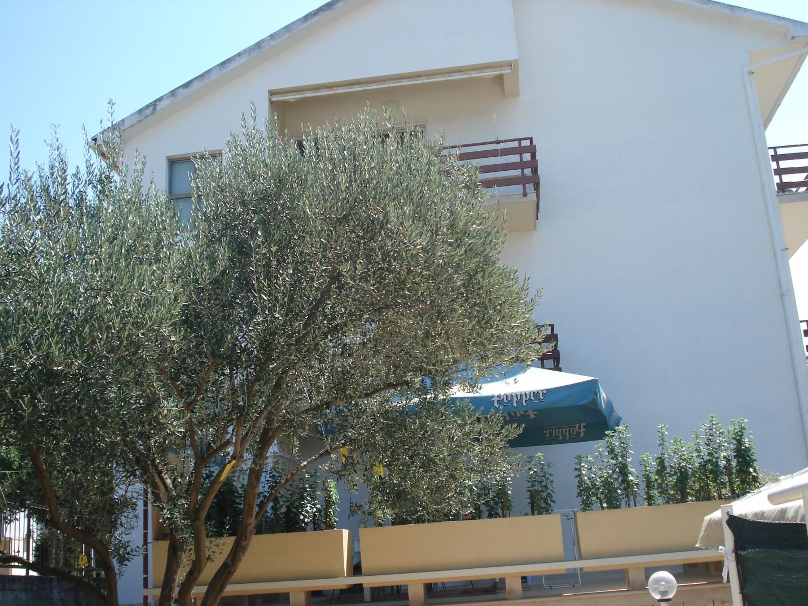 Photo 51
