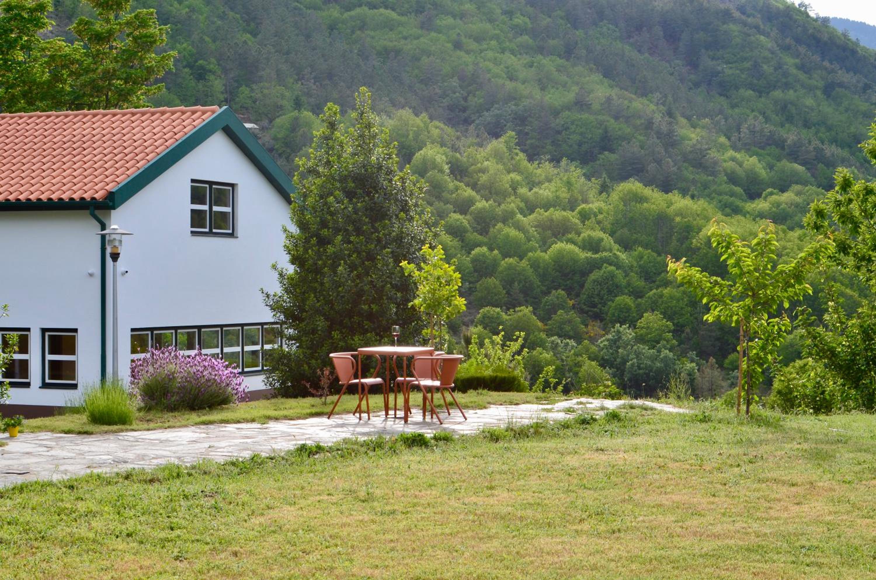 Photo 23