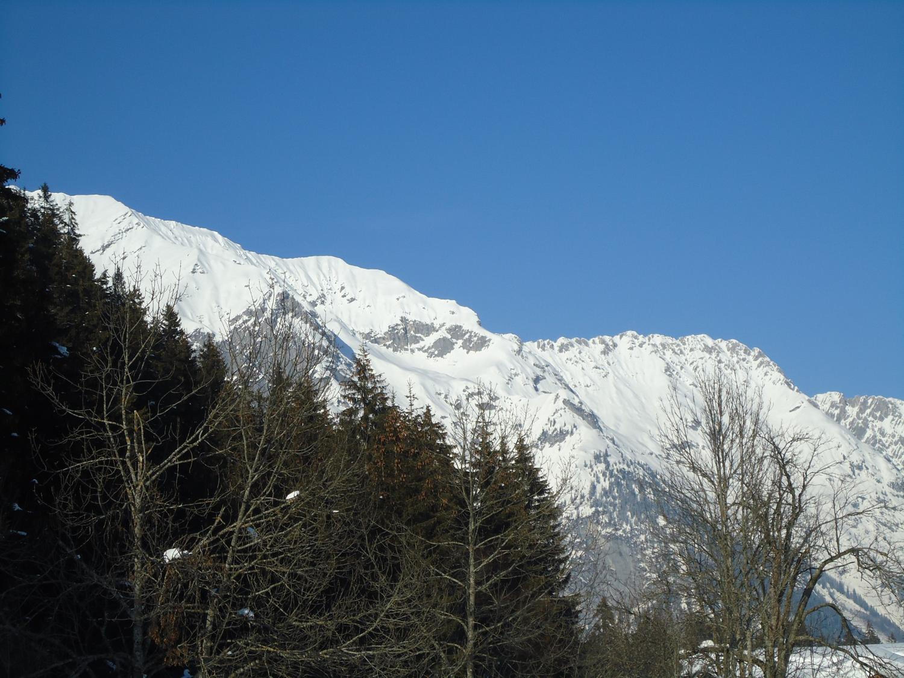 Photo 30