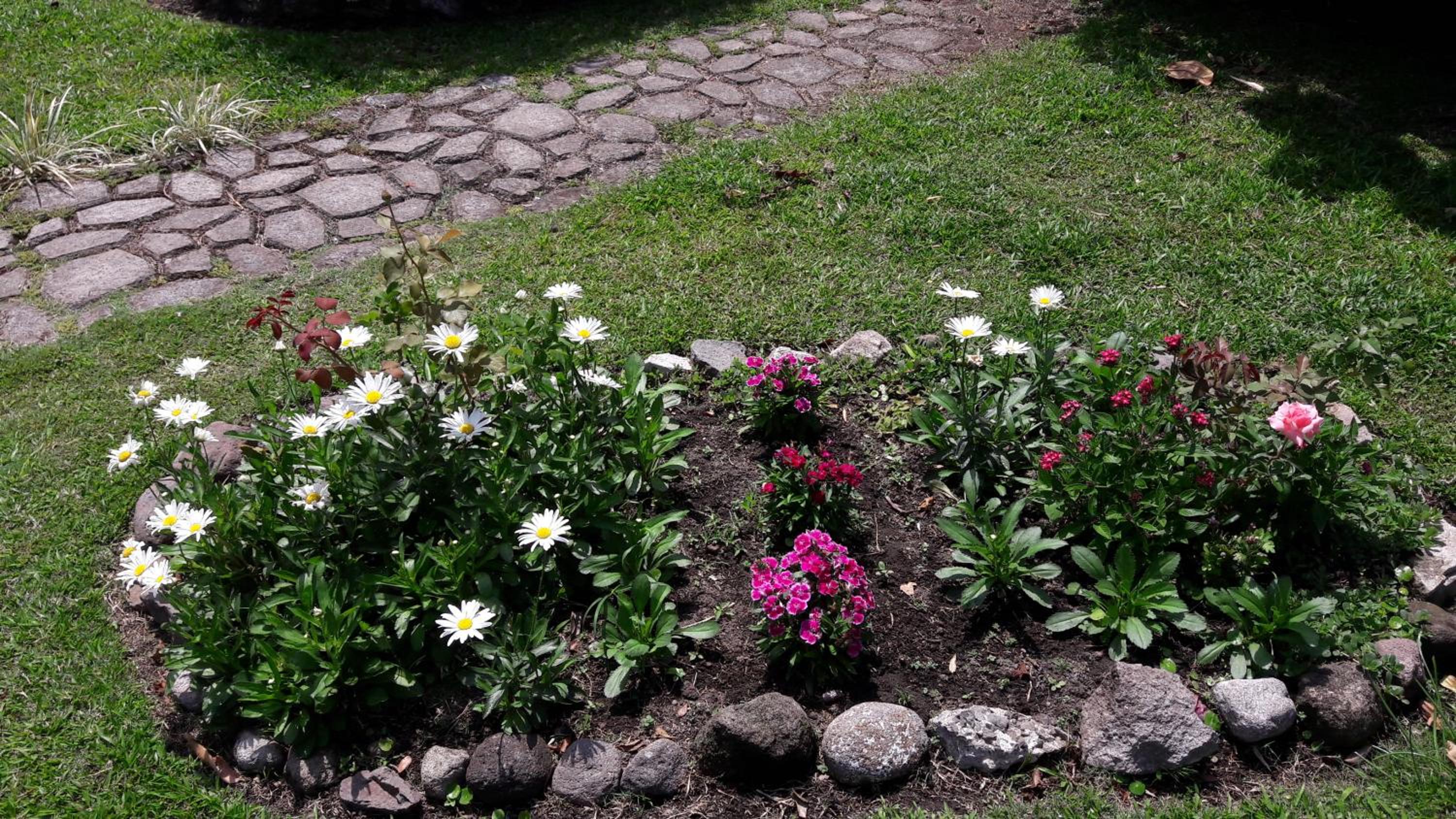 Photo 6