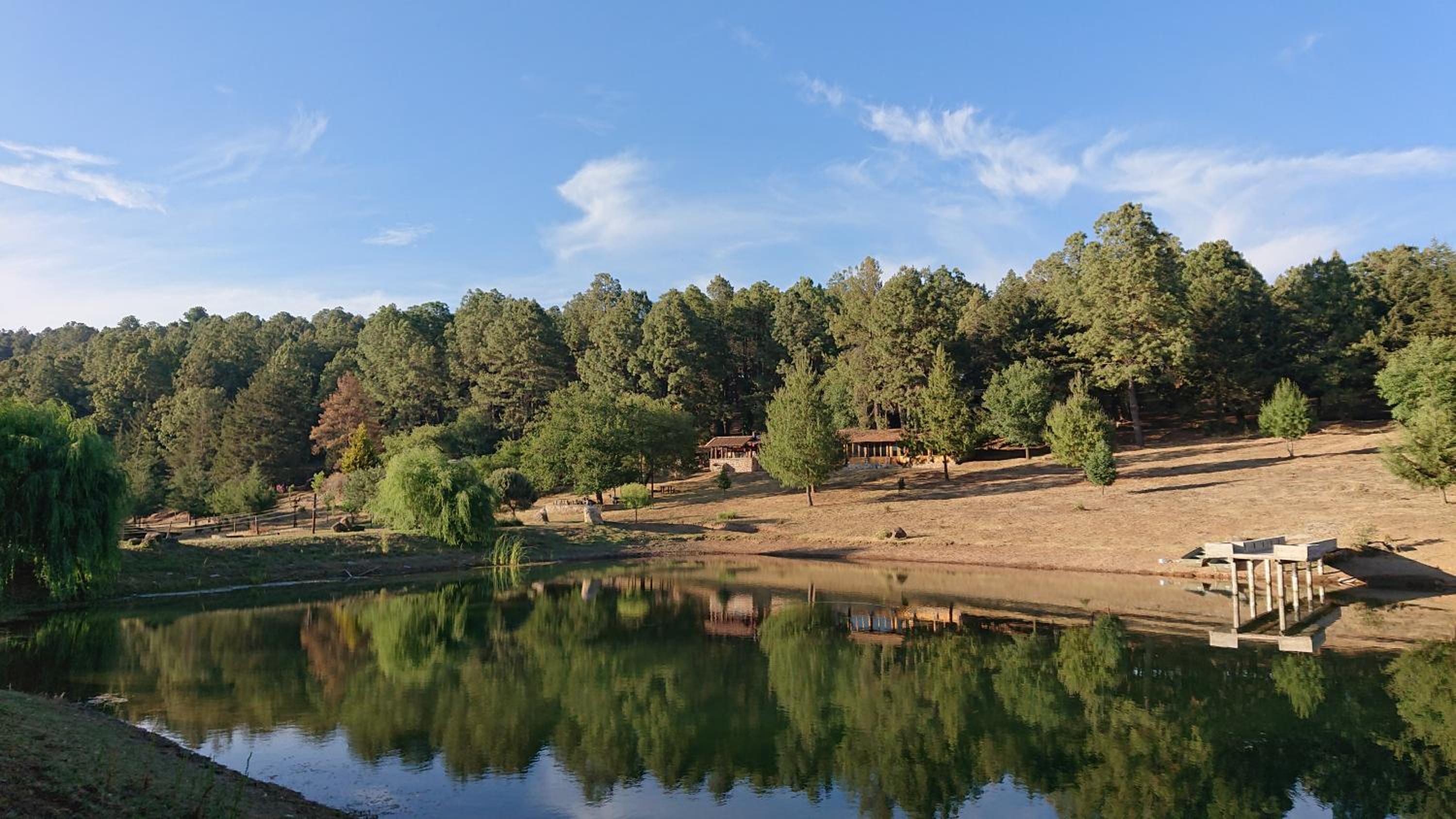 Cabañas tapalpa Sierra del Tecuan, Cabaña Tejón