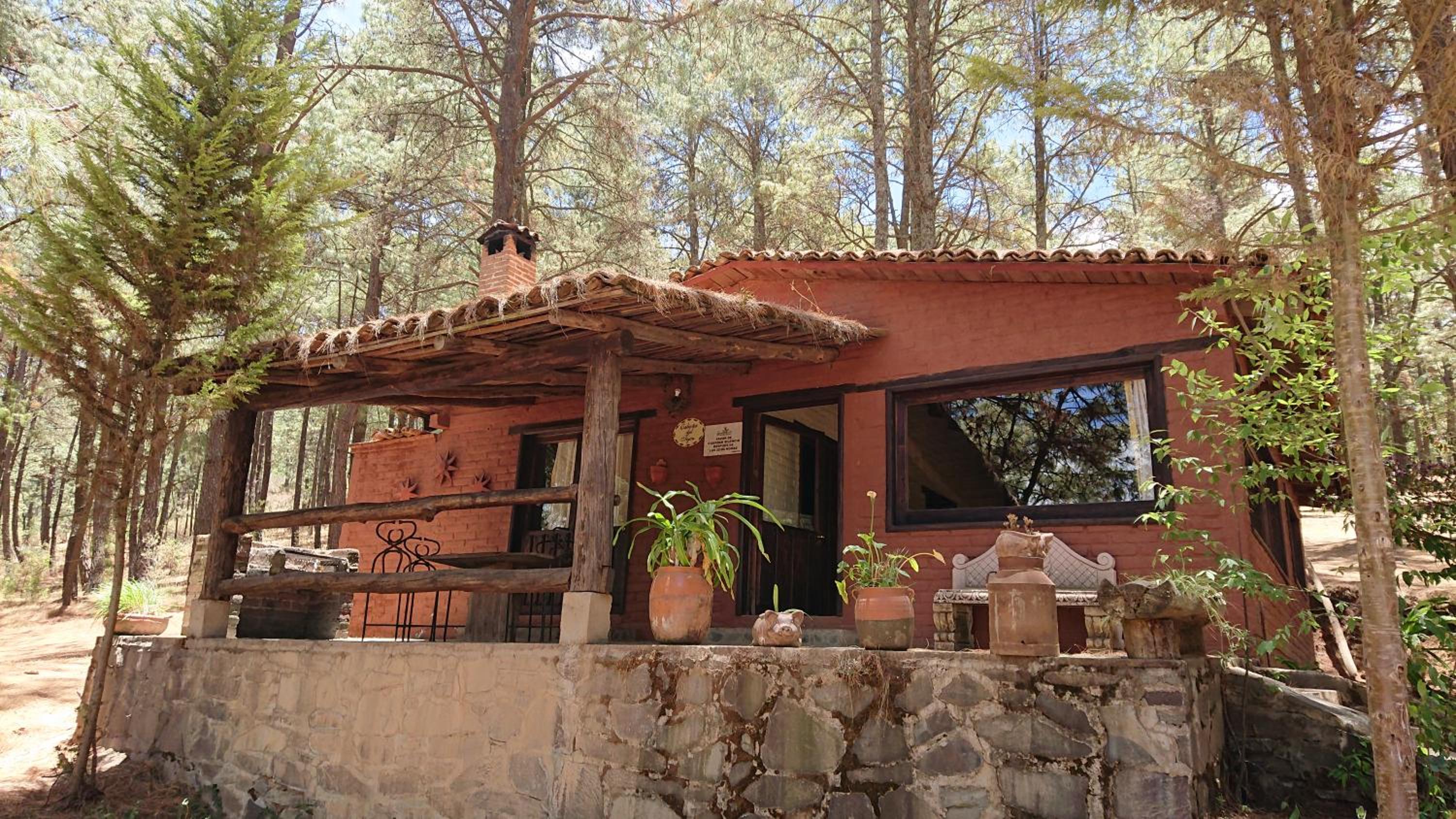 Cabañas tapalpa Sierra del Tecuan, Cabaña Tejón