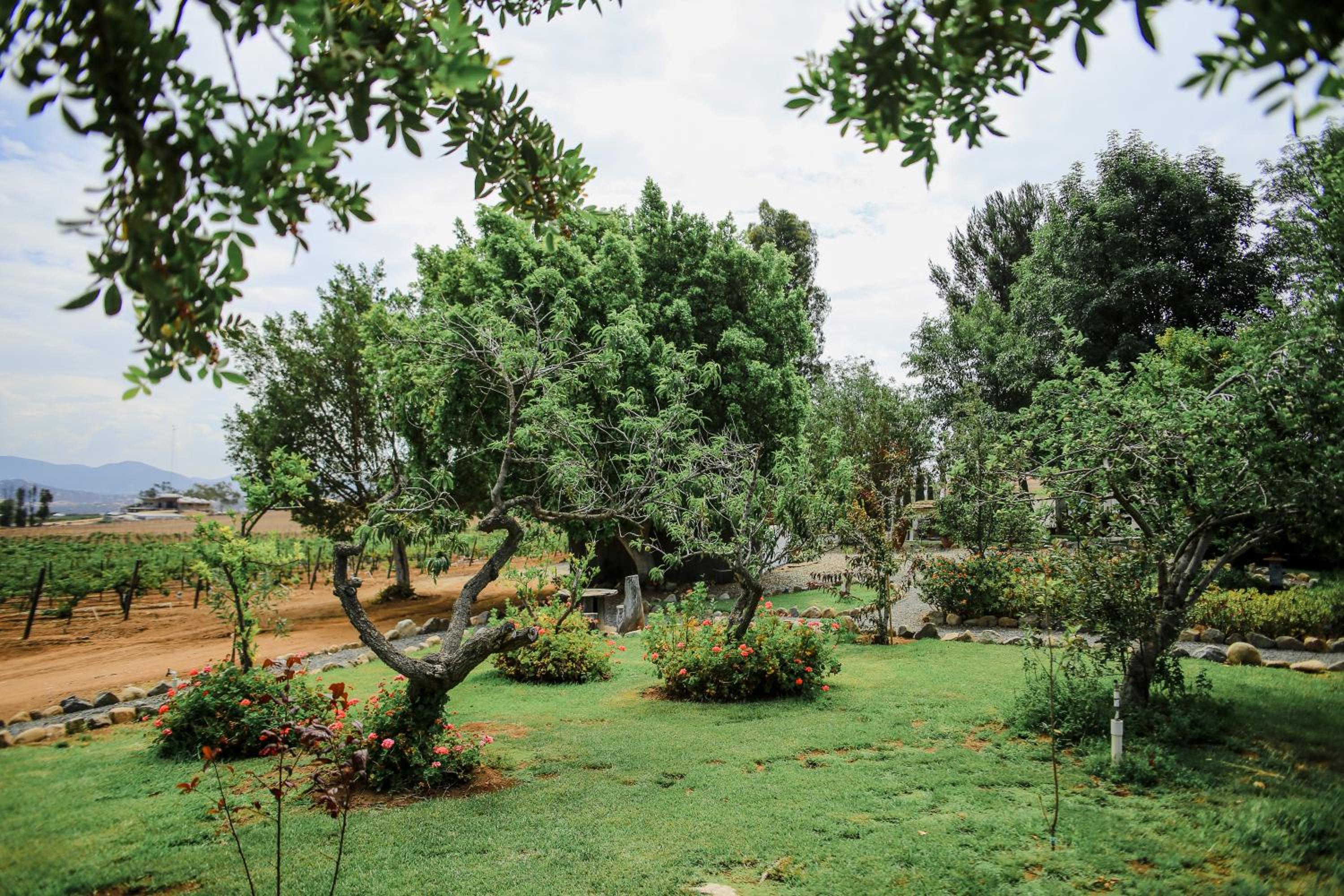 Rancho el Parral