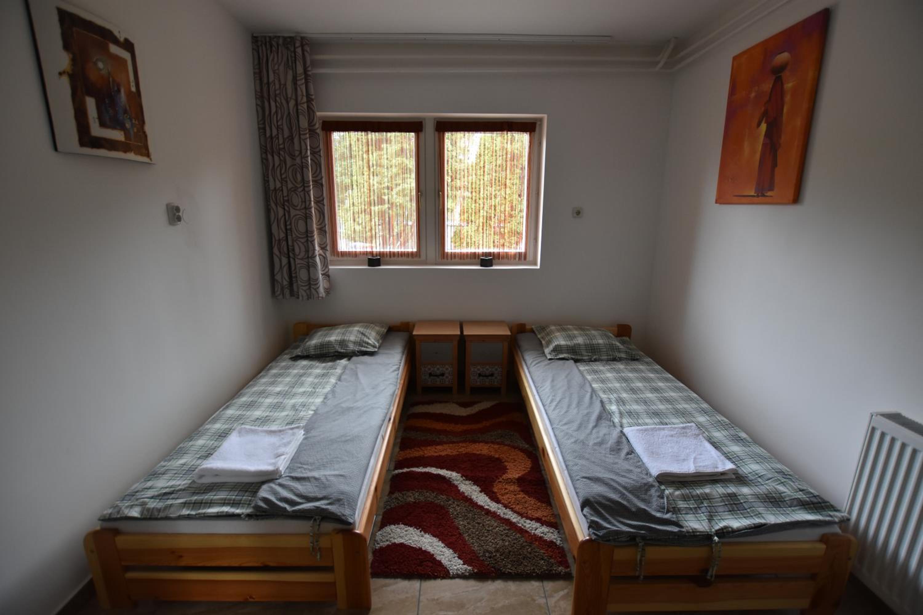 Borsi Apartman view 5