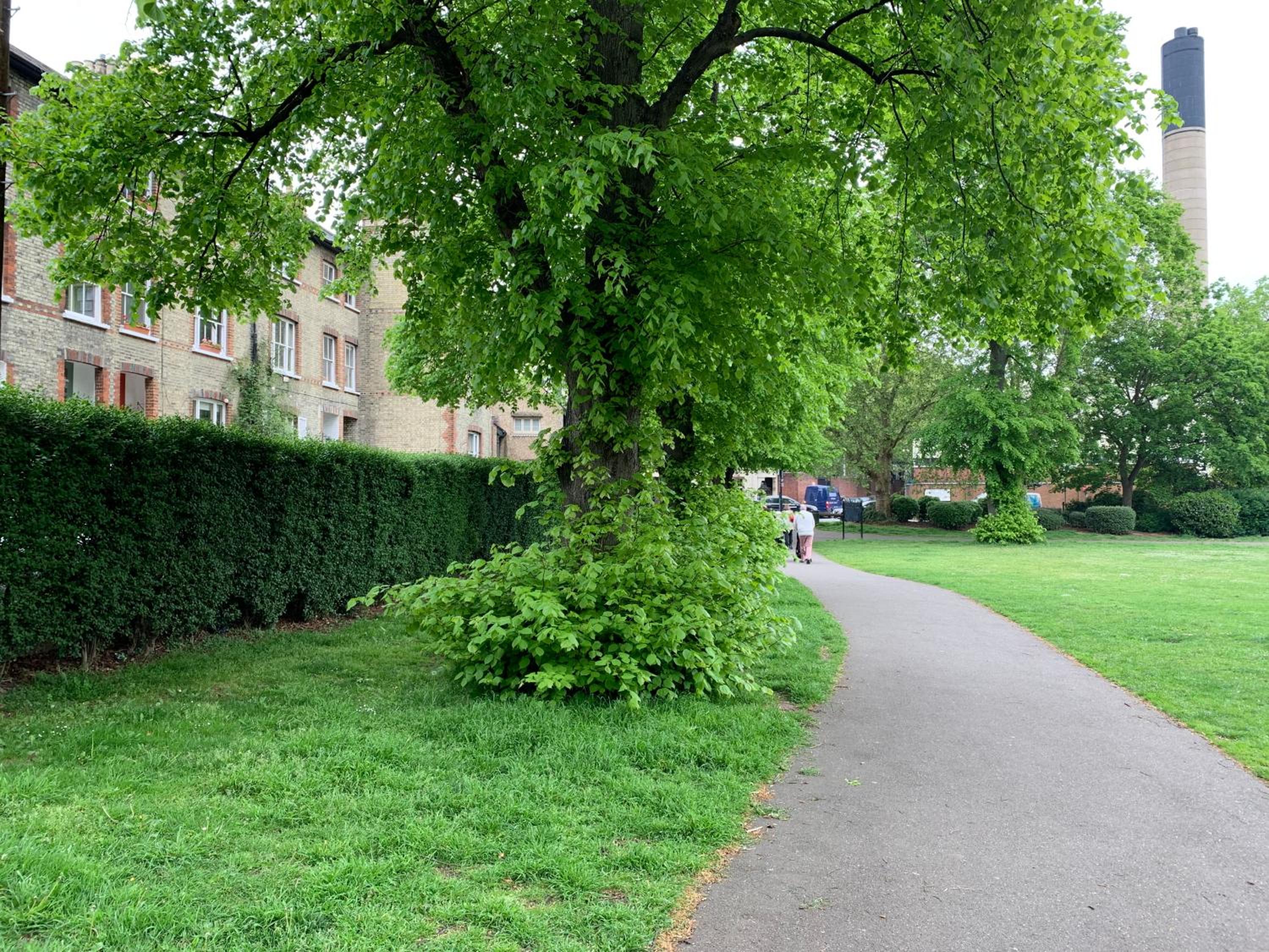 garden