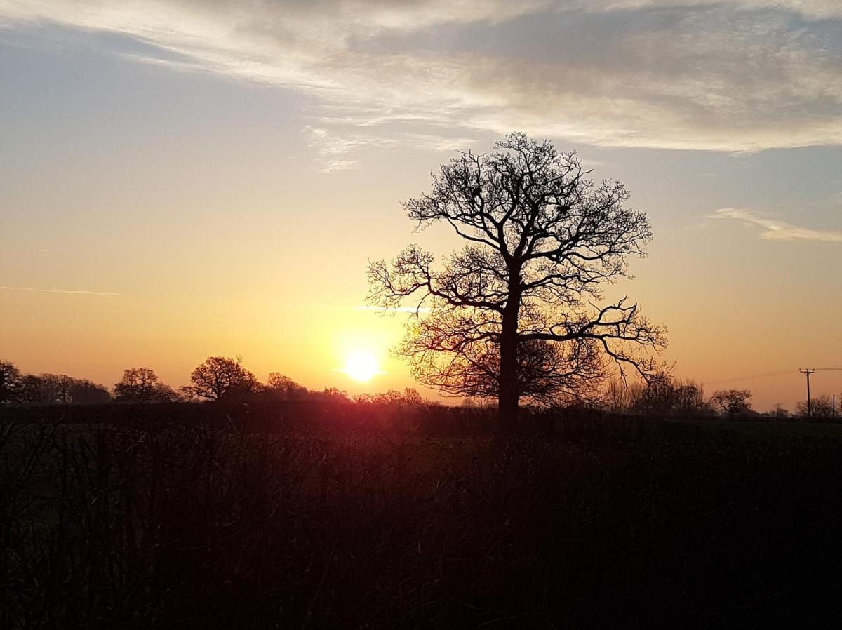 Foxes Field B&B Aston Nantwich view 2