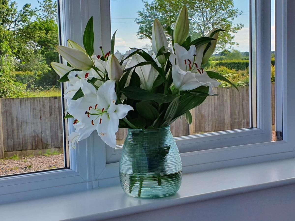 Foxes Field B&B Aston Nantwich view 4