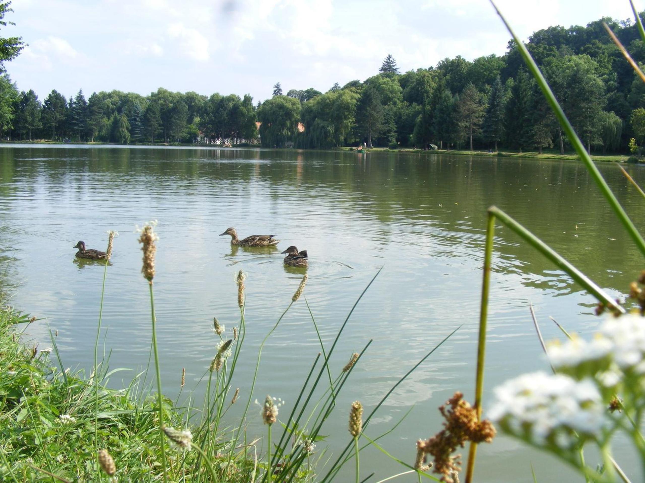 Photo 24