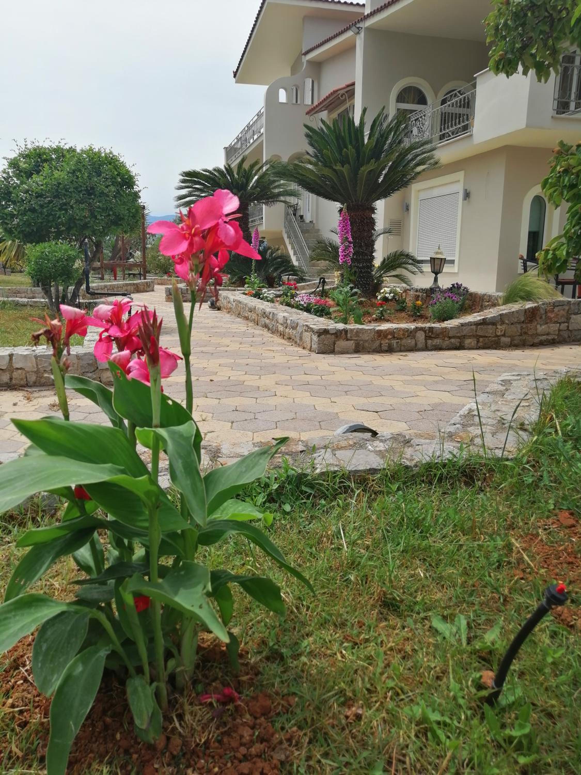 Photo 14