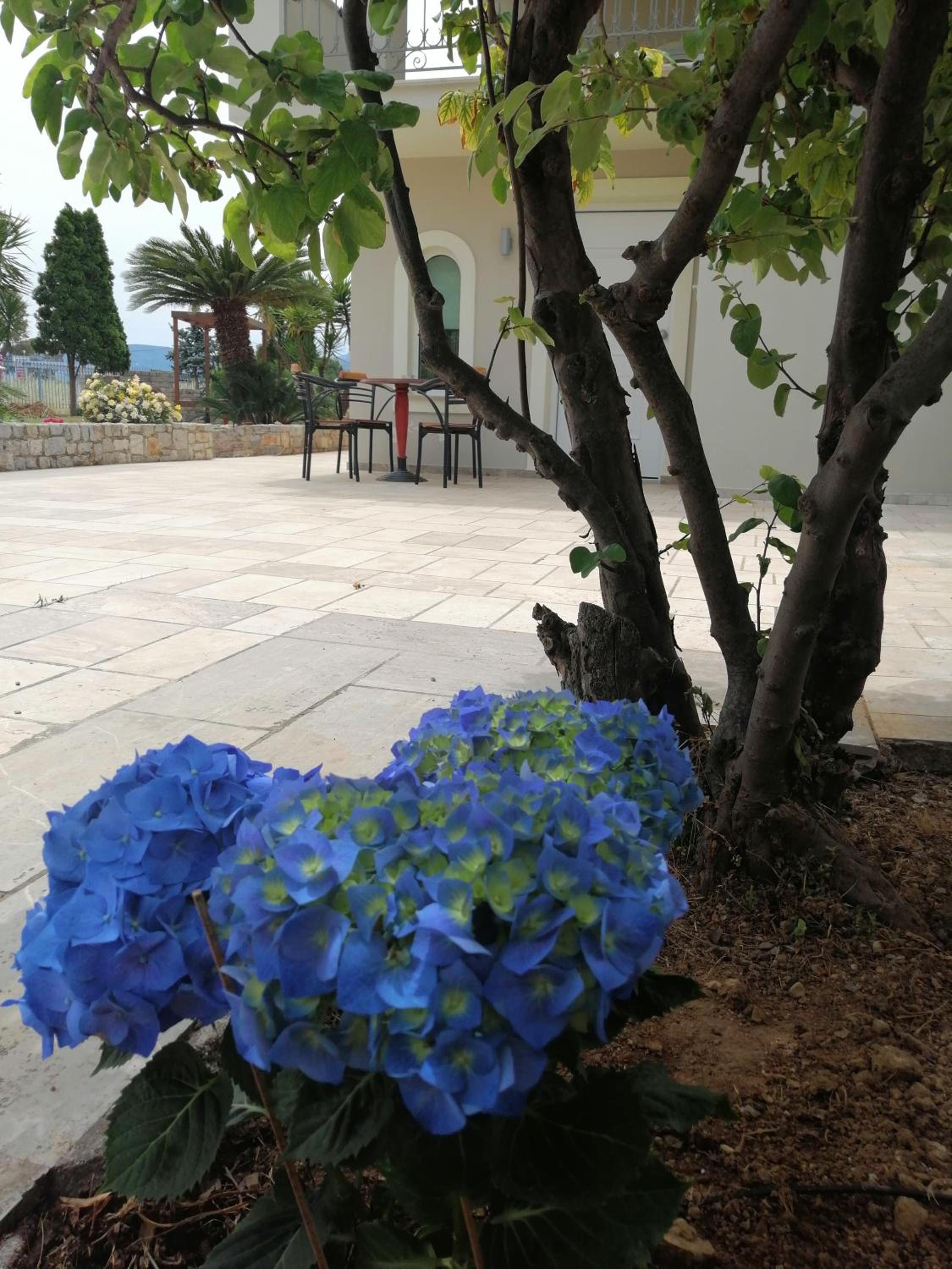 Photo 12