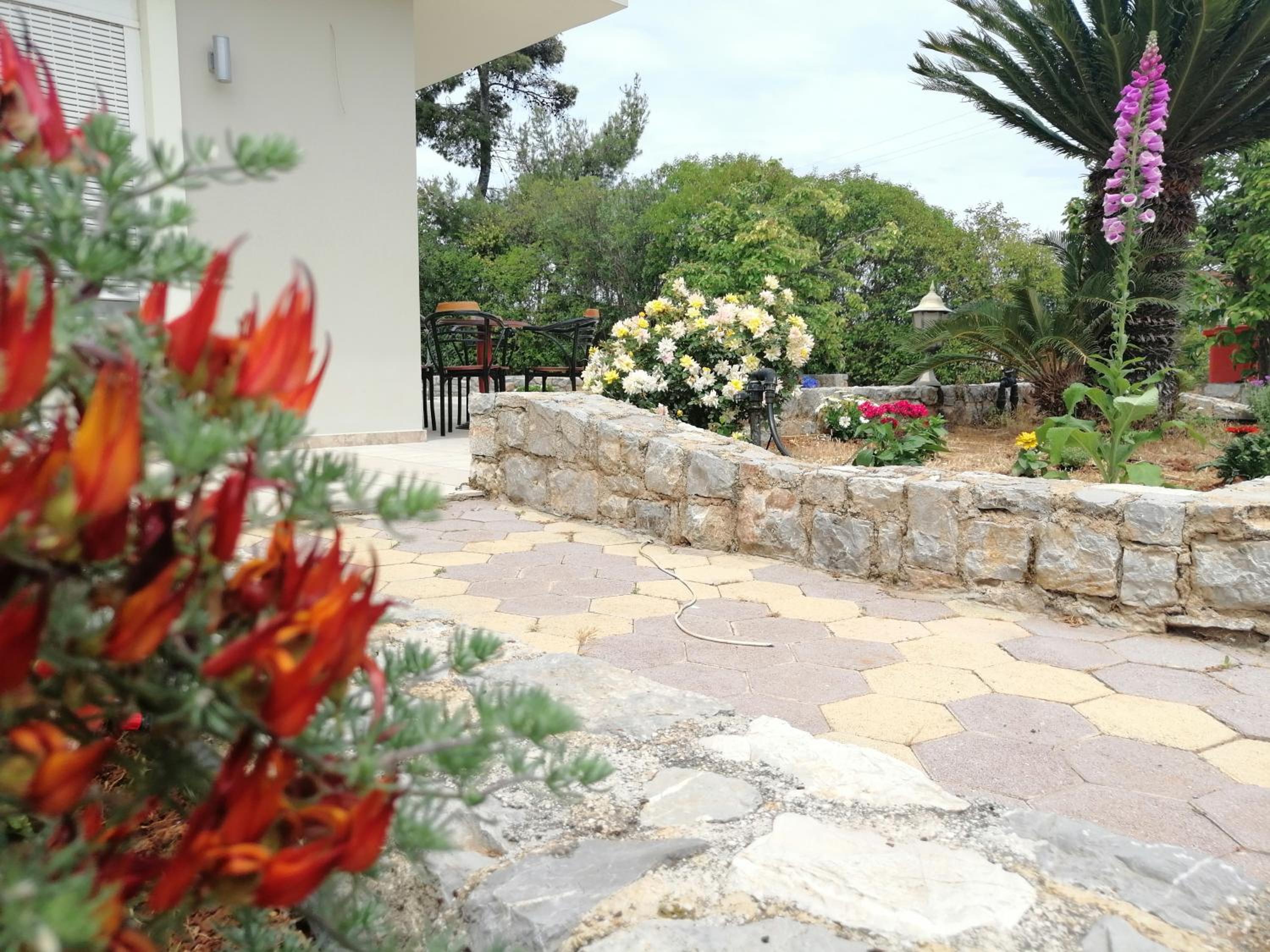 Photo 11