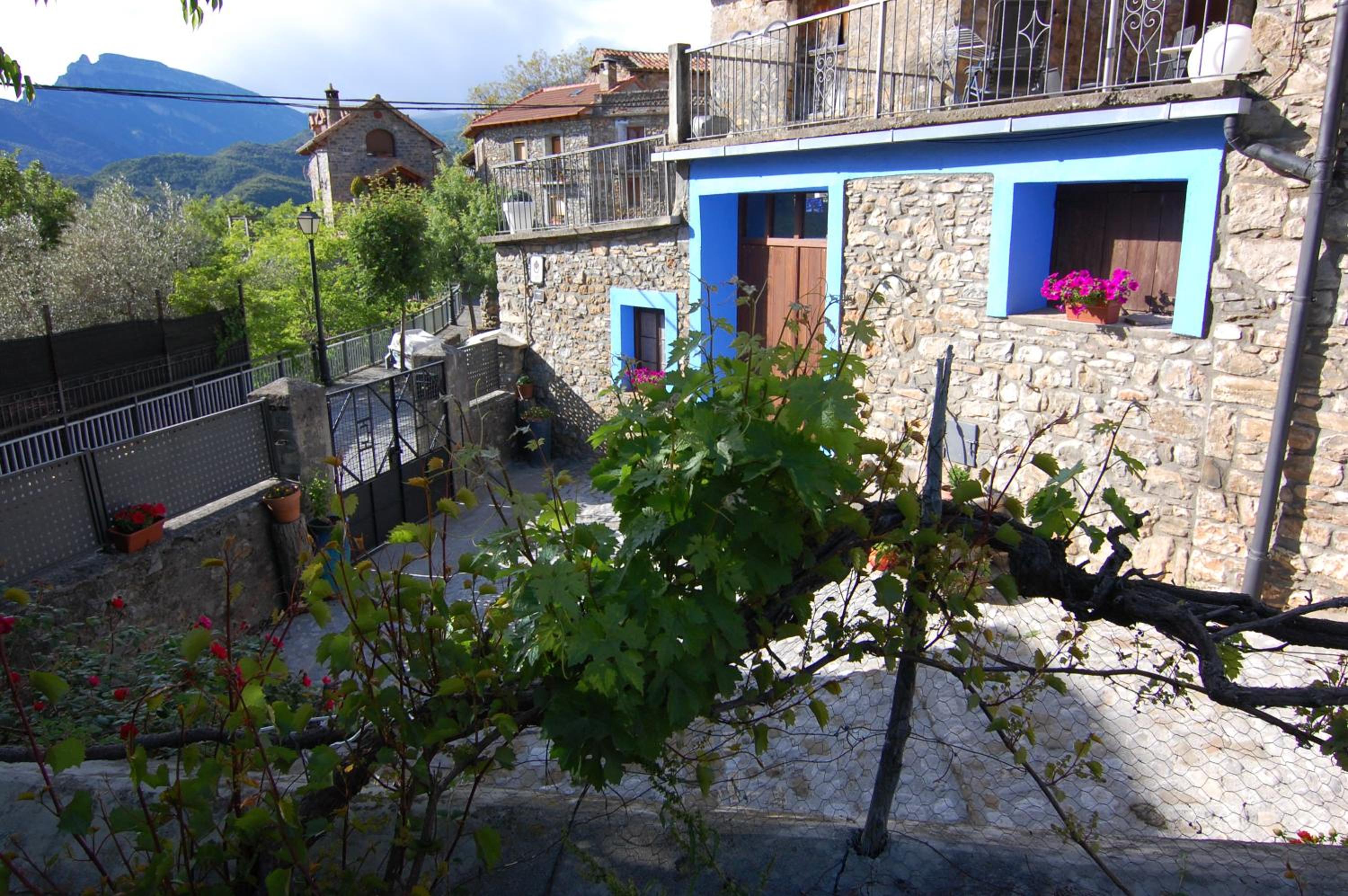 Photo 6