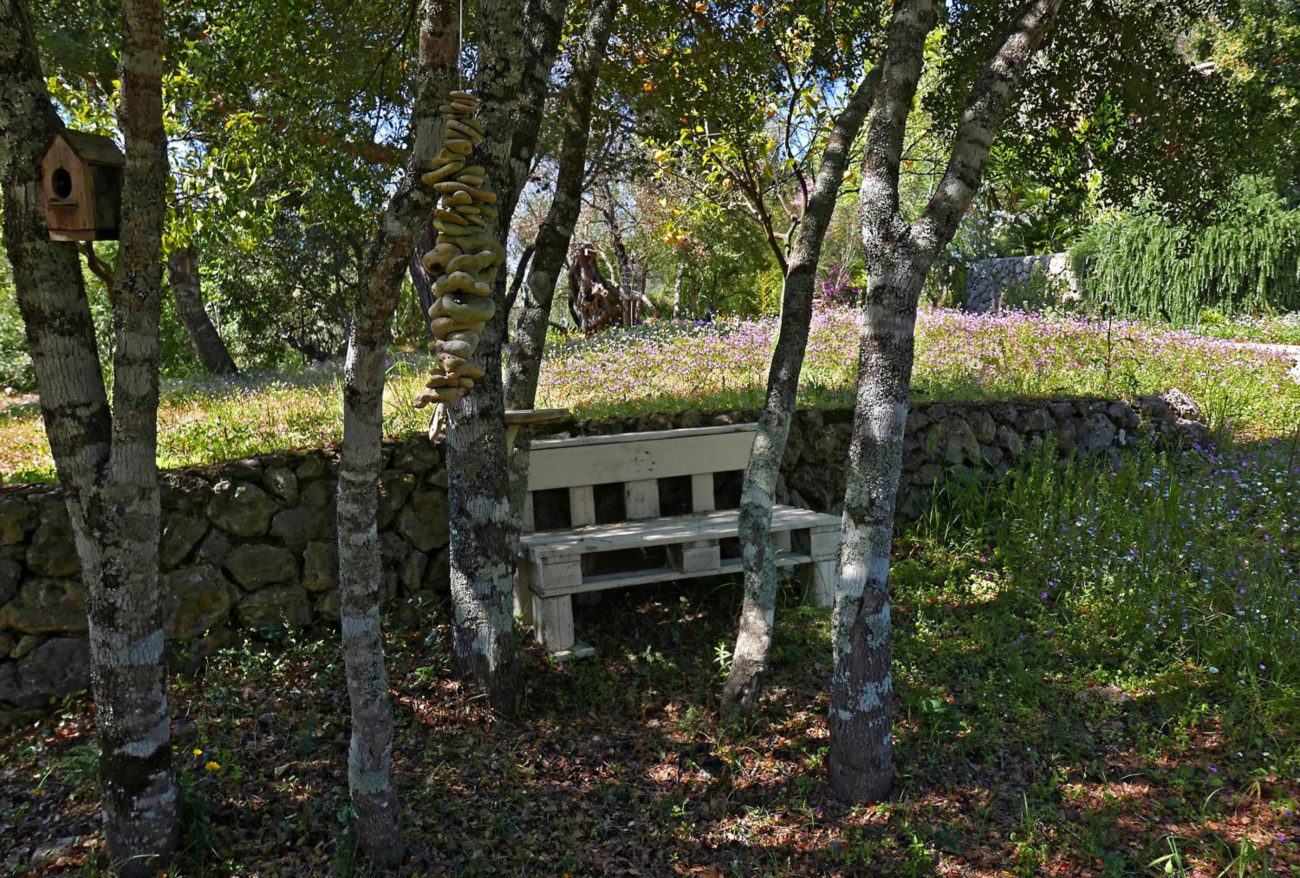 Photo 47