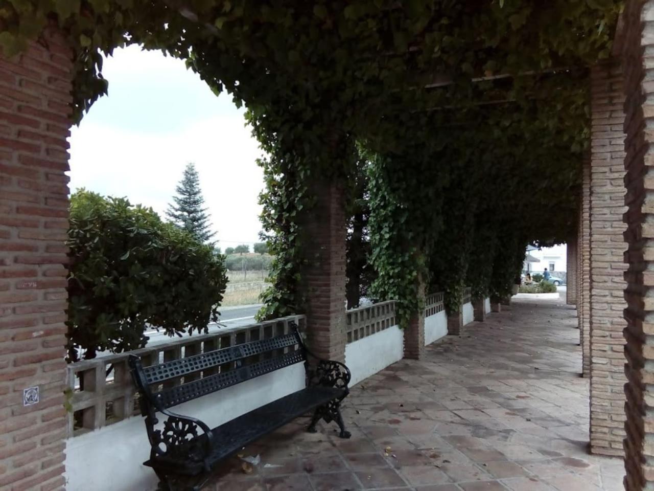 Photo 24
