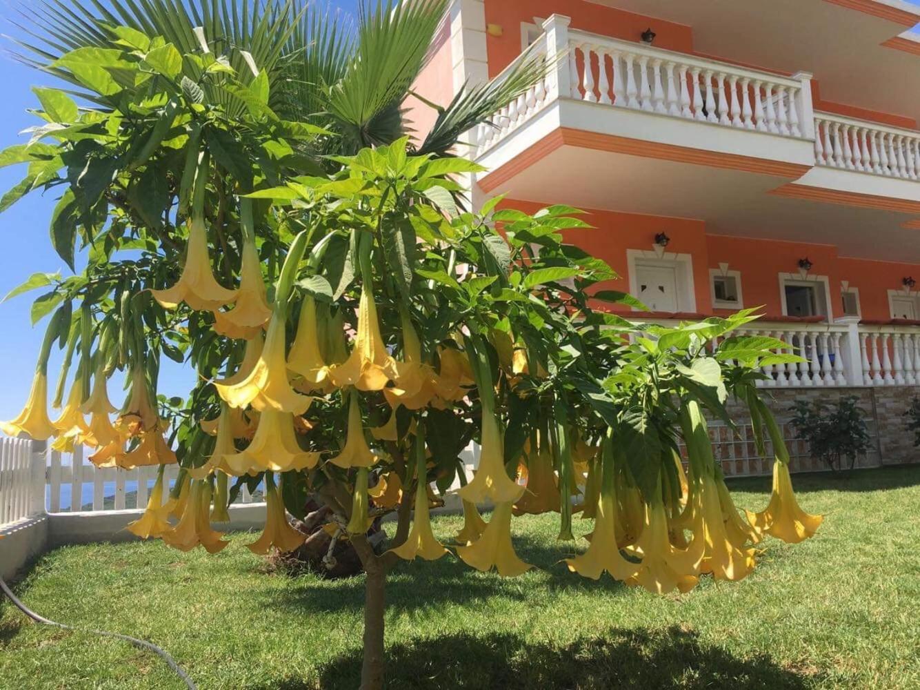 Photo 48