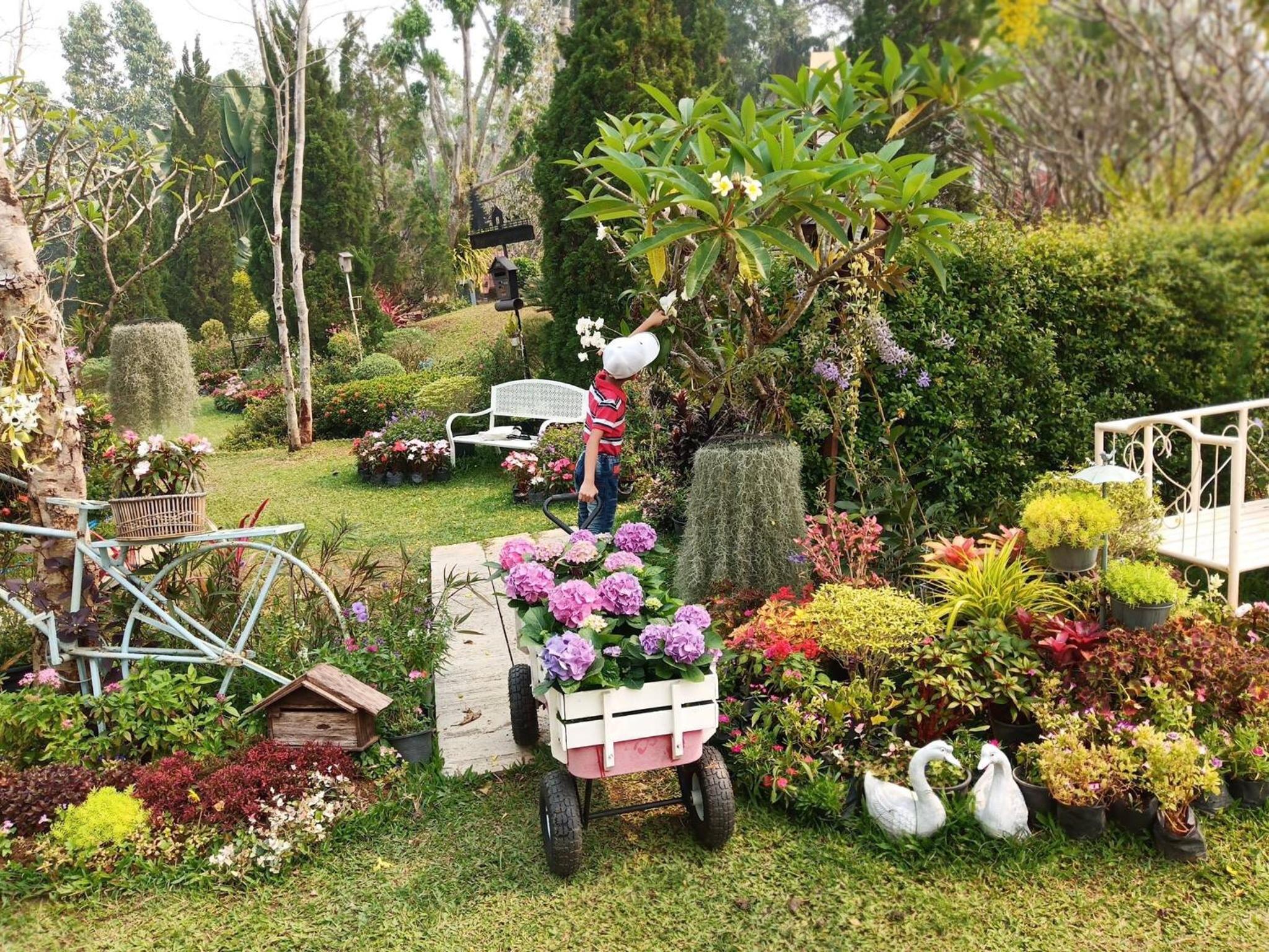 Baan JaoKorKluay บ้านเจ้ากอกล้วย