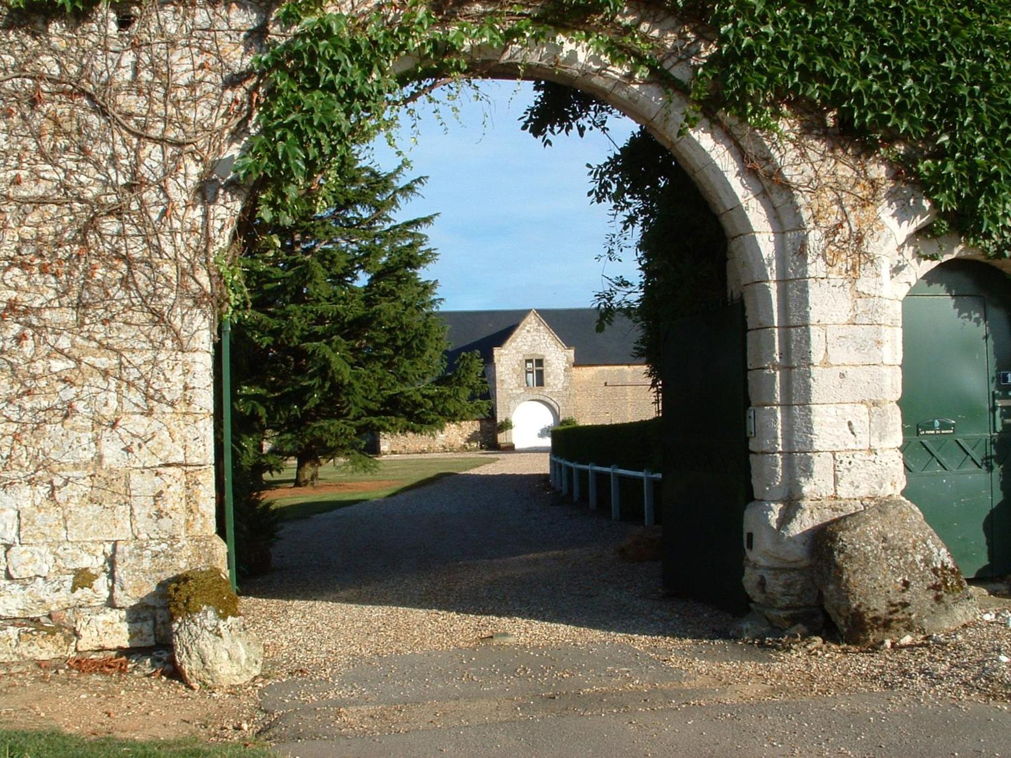 Photo 27