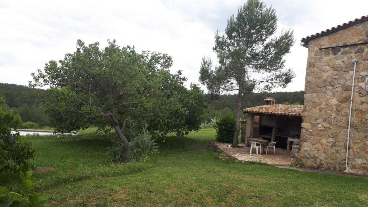 Photo 18