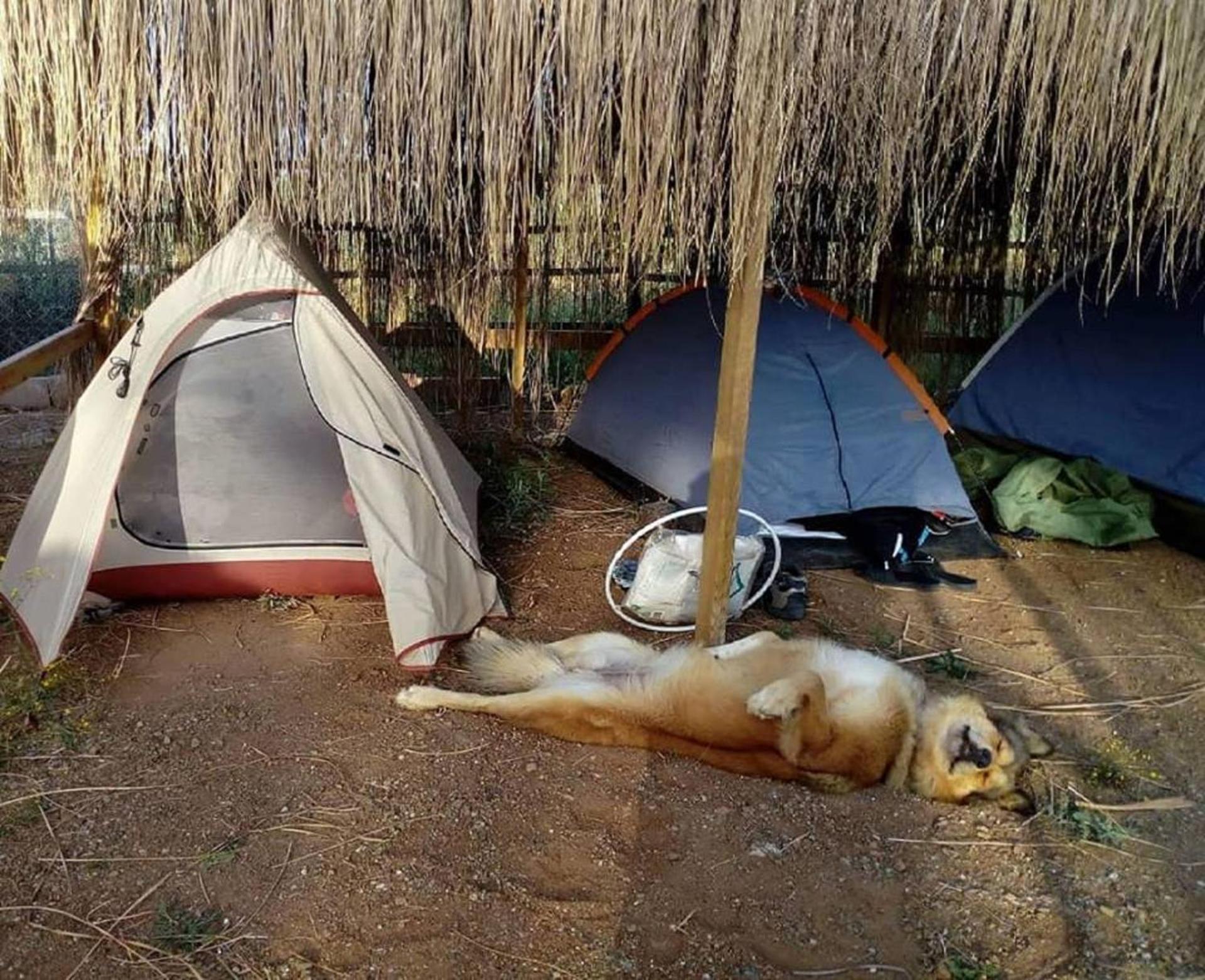 Chillsteps Hostel