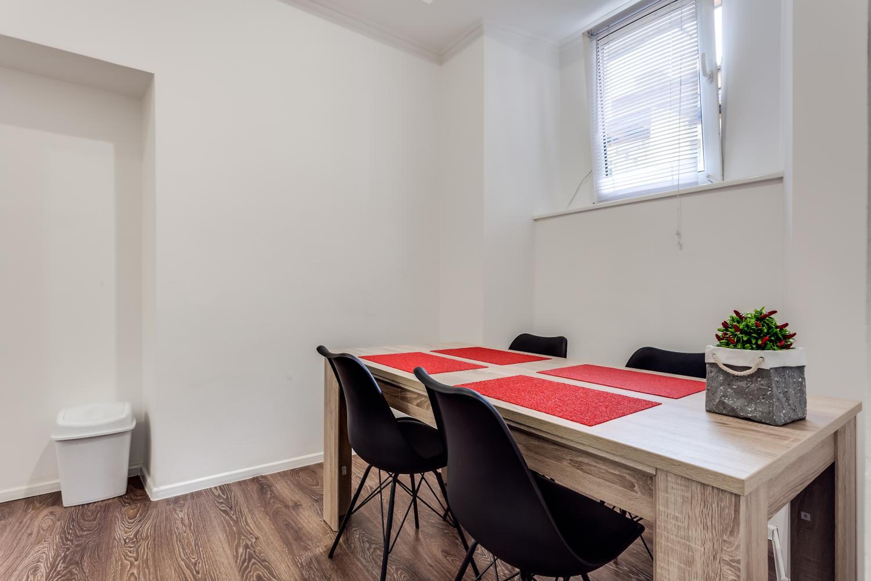 Modern apartment in Lviv historic center. view 4