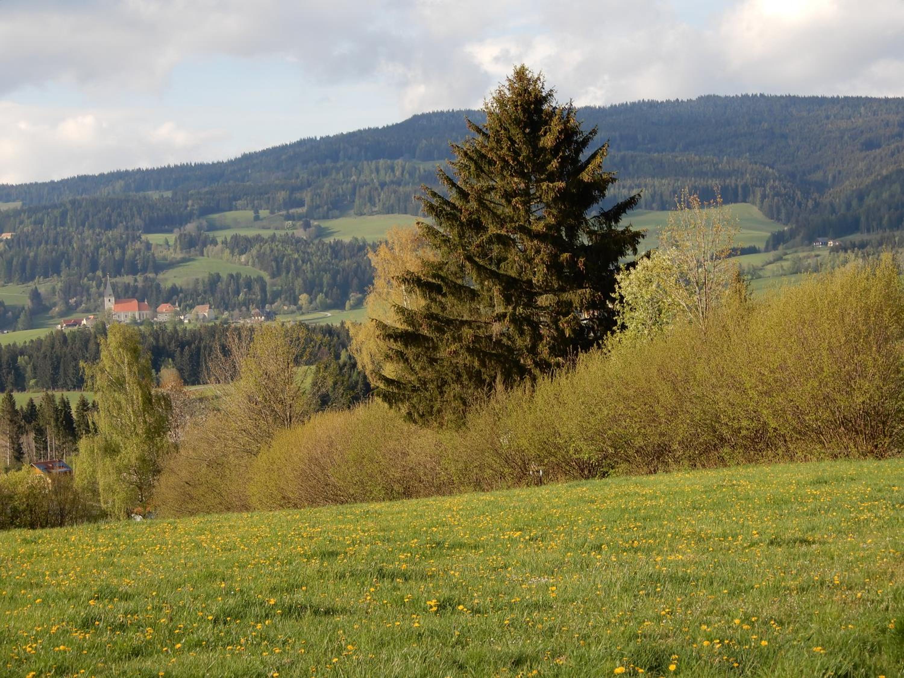 Ferienhaus Grohs