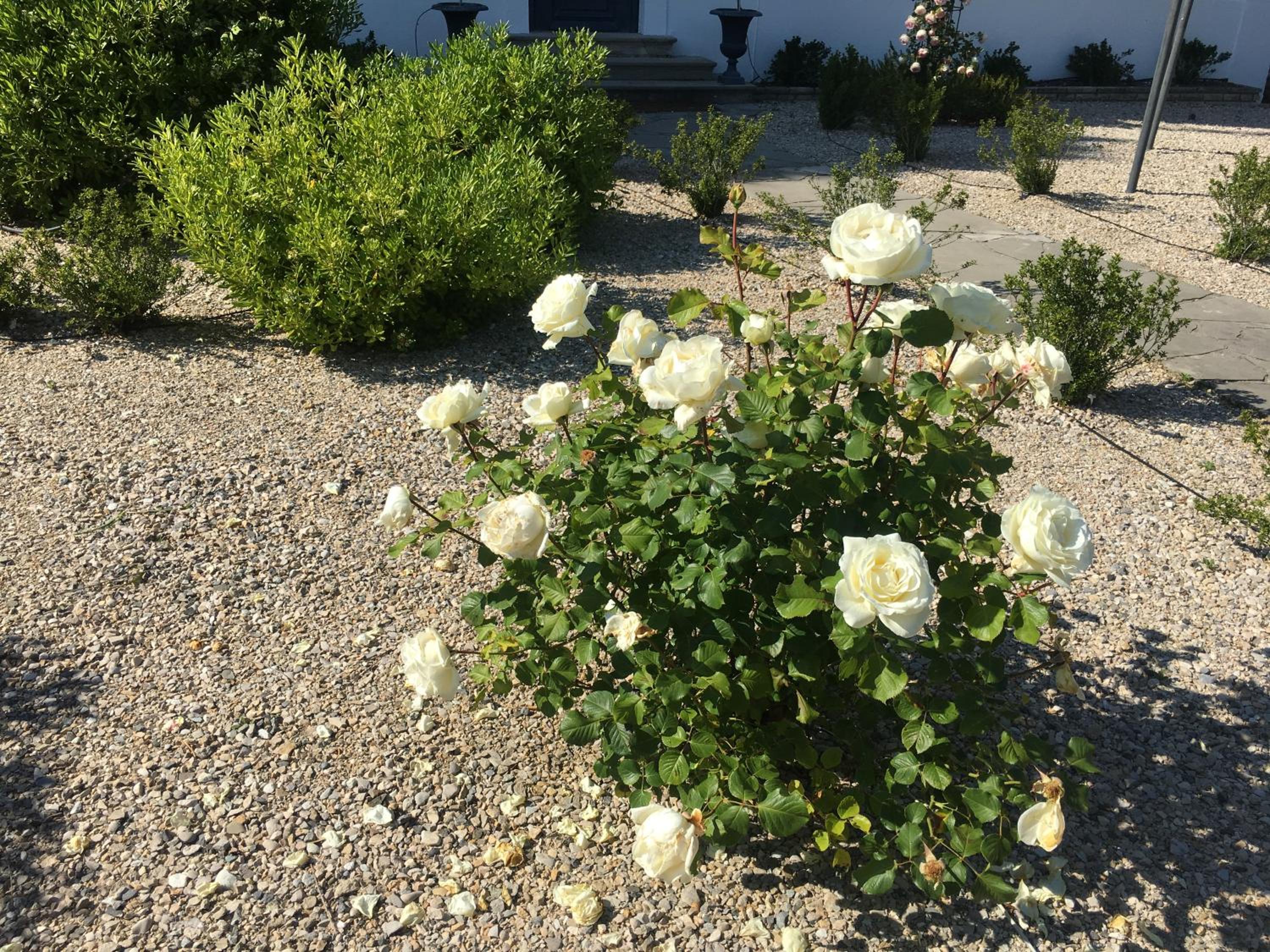 Villa Dufresne, photo 13