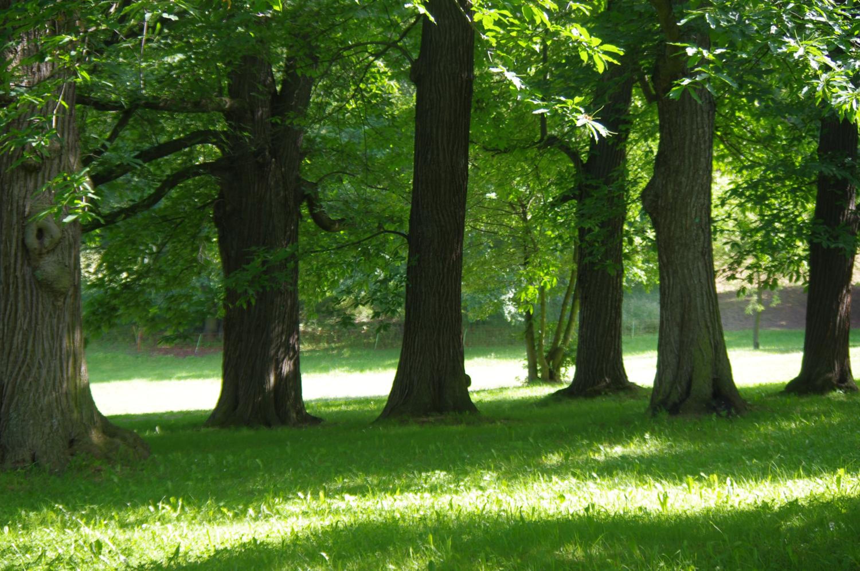 Feriendomizil Schlossblick