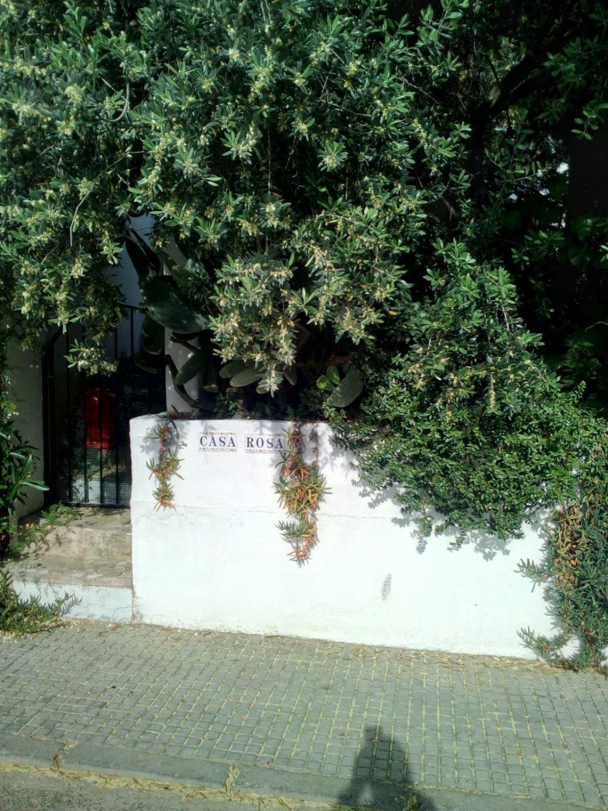 Photo 27