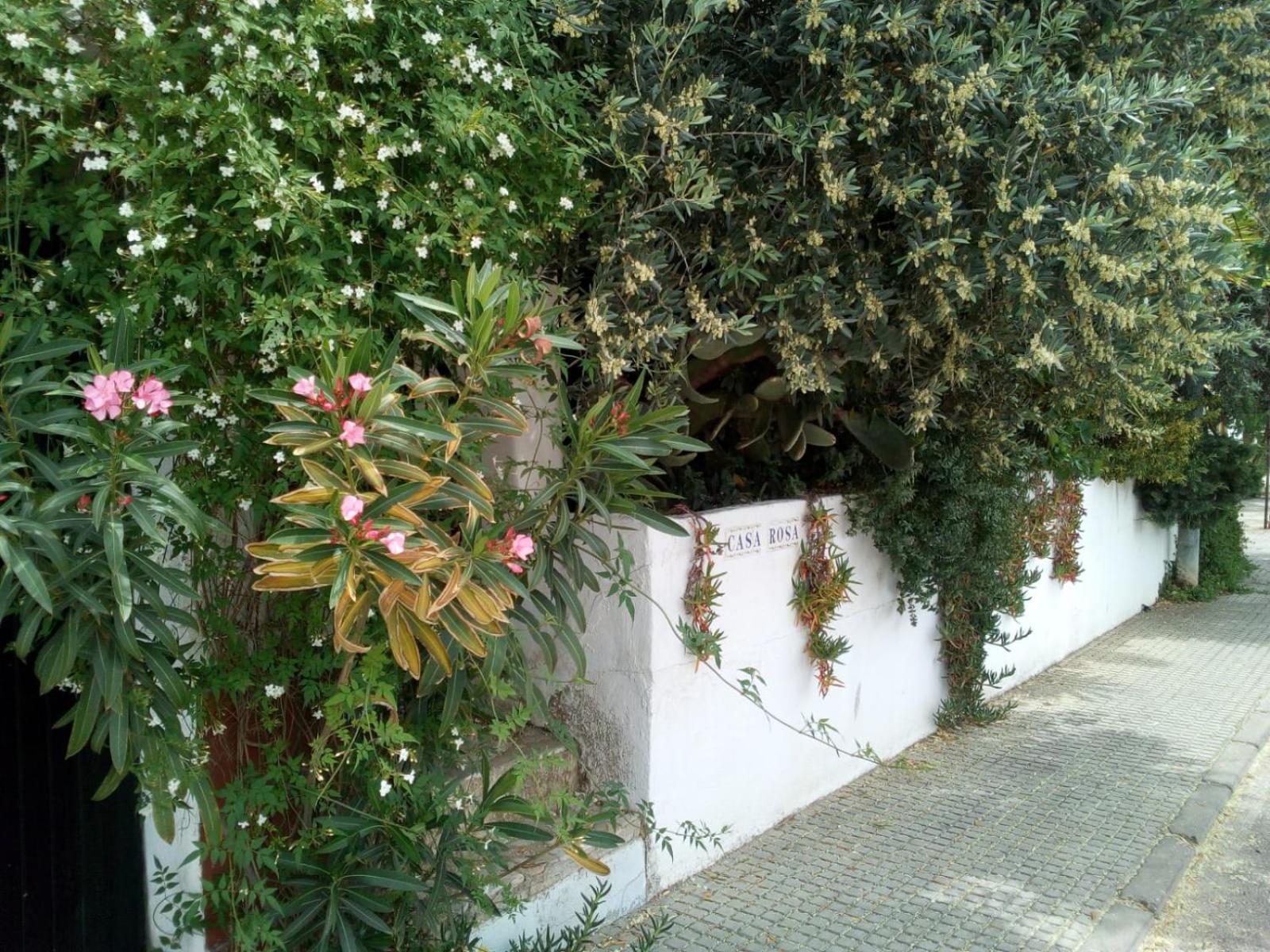Photo 32