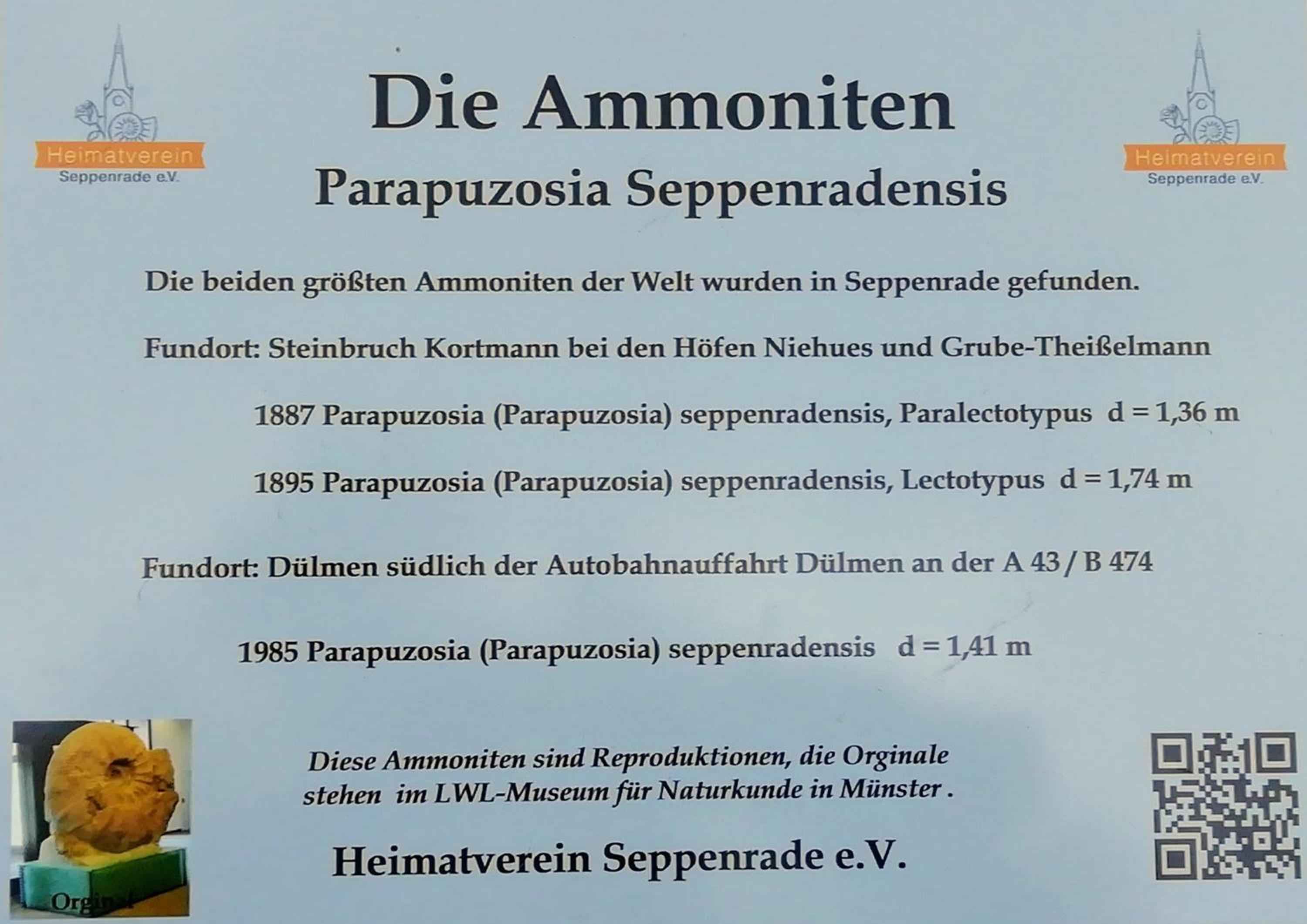 Ferienwohnung und -Zimmer Becks