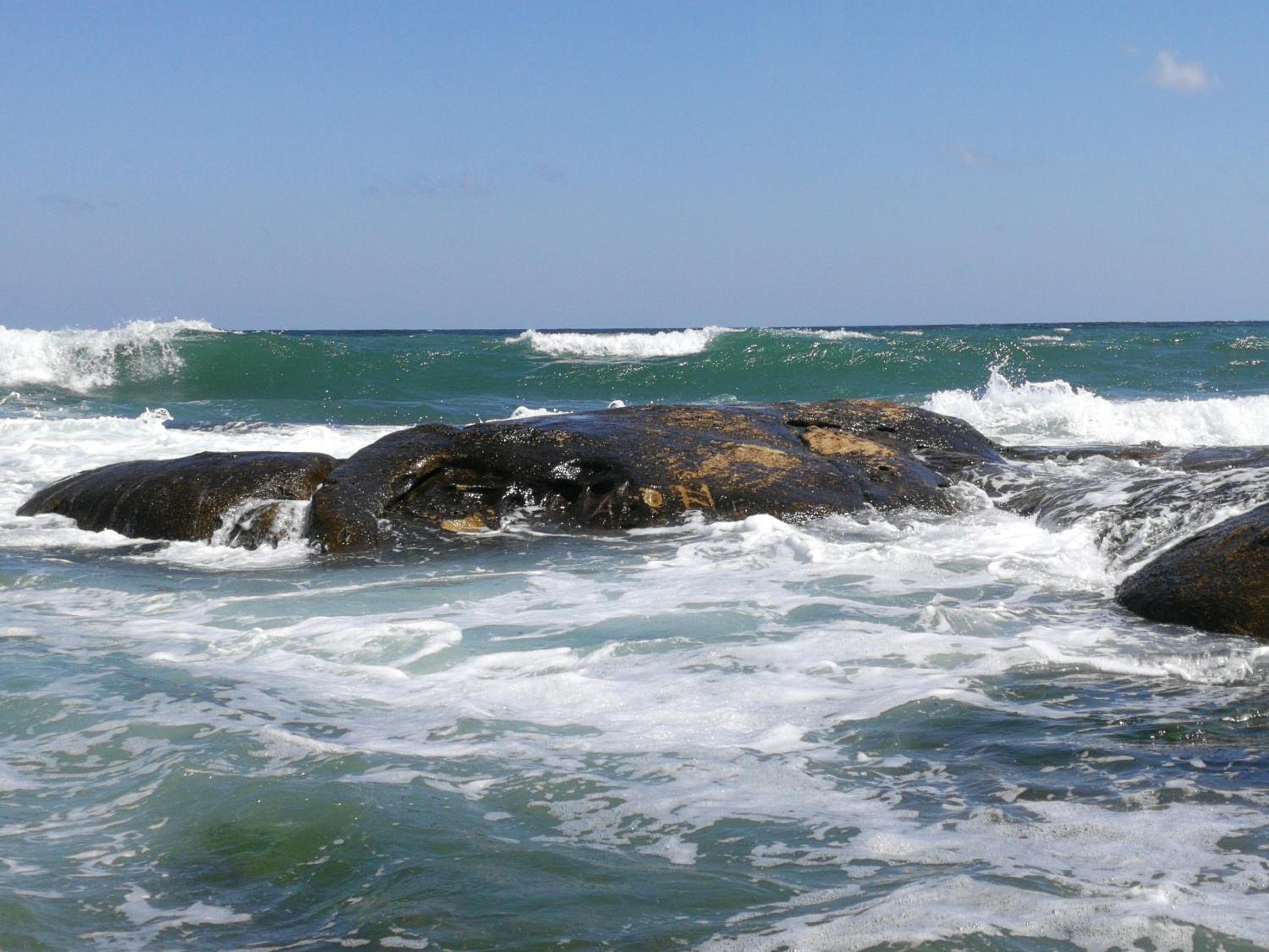 Photo 47
