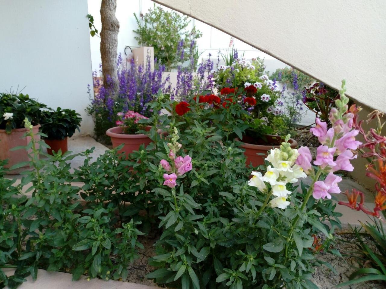 Photo 19