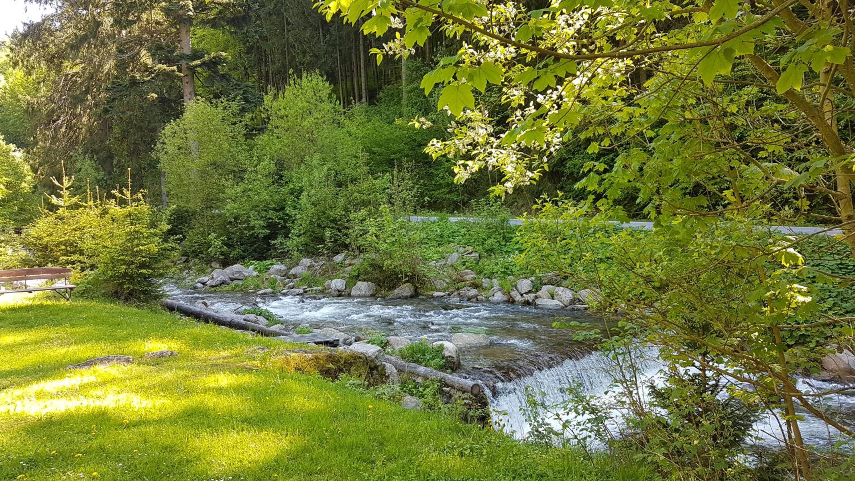 Photo 8