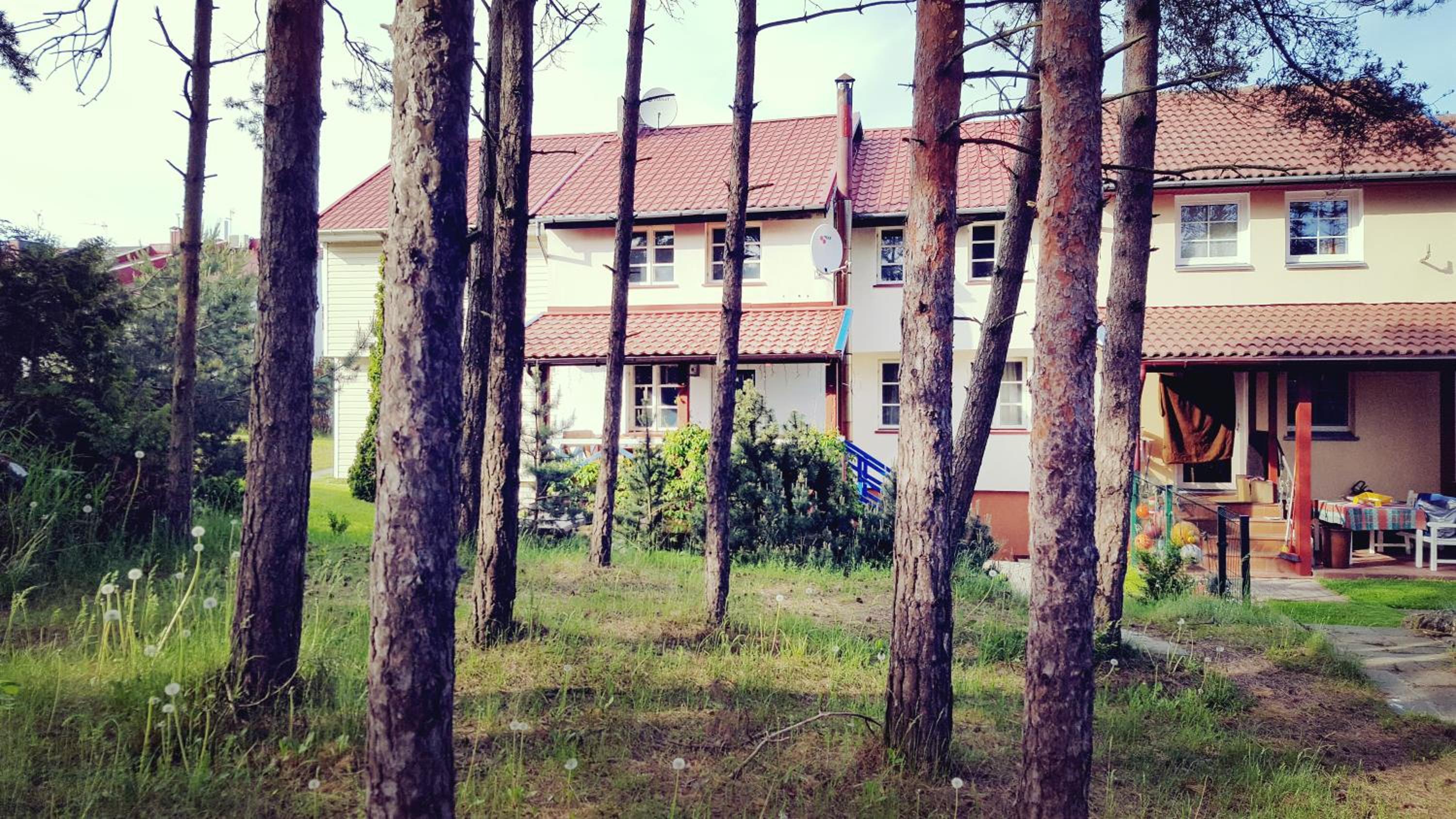 Pas Edgarą 2 view 5