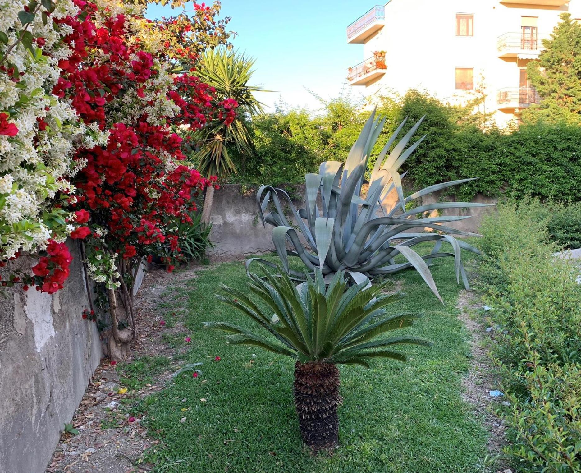 B&B Domus Vettii view 2