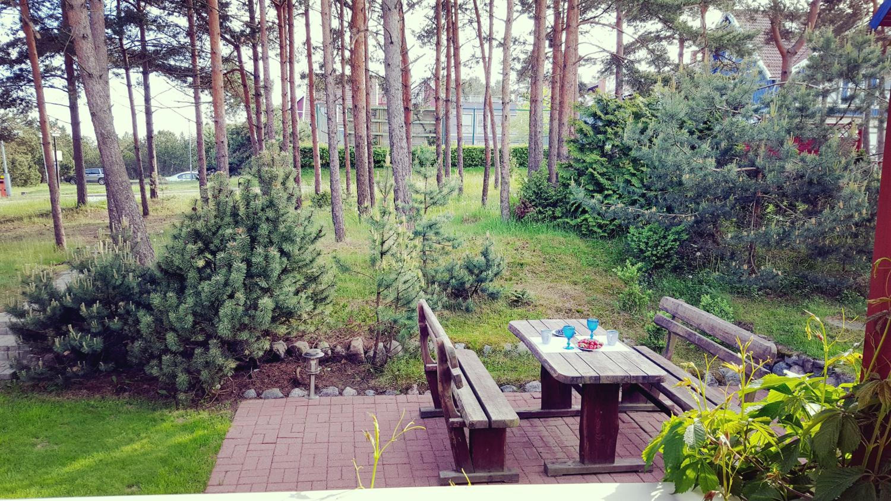 Pas Edgara view 2