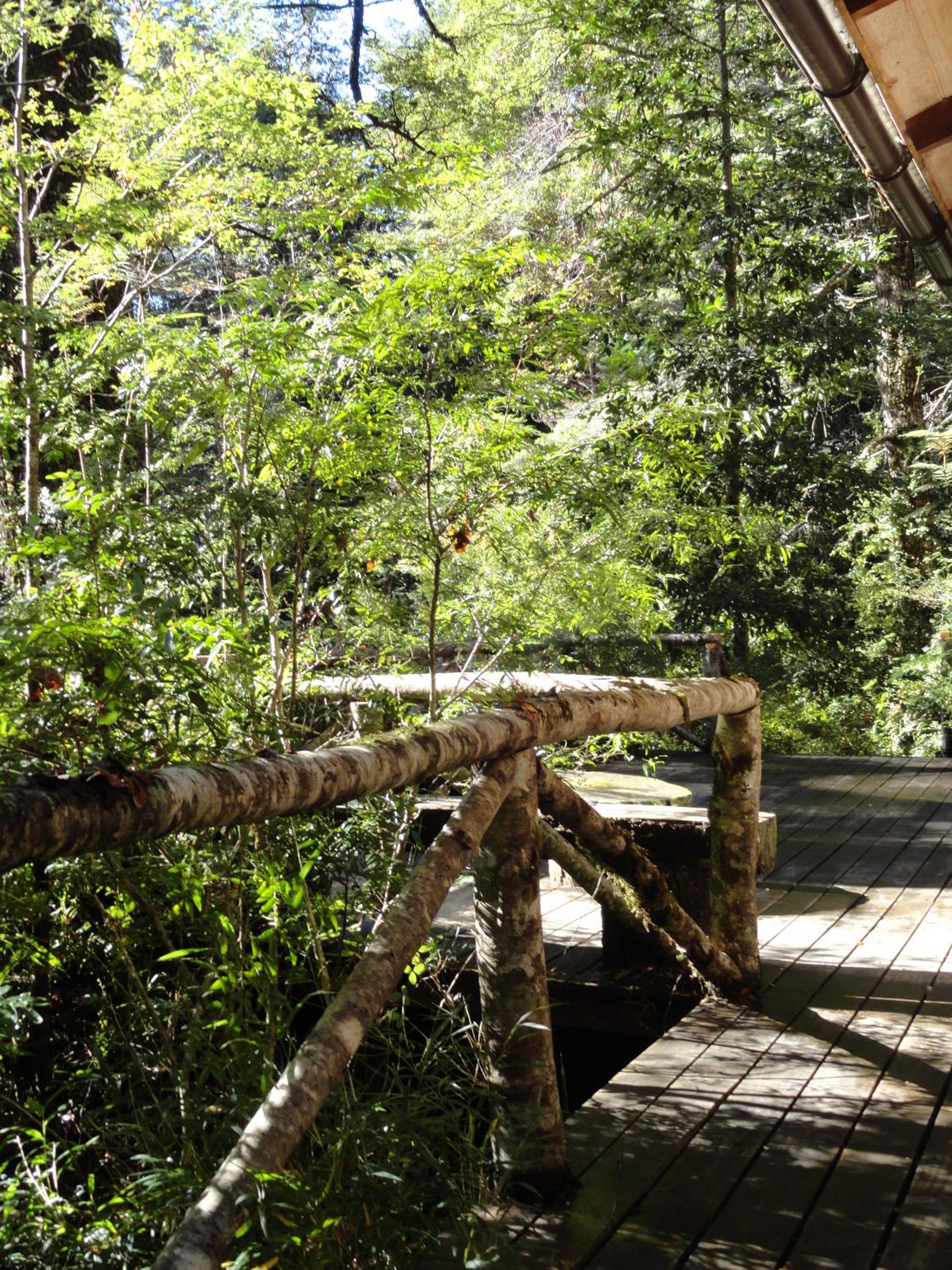 Linda Cabaña en Reserva HuiloHuilo