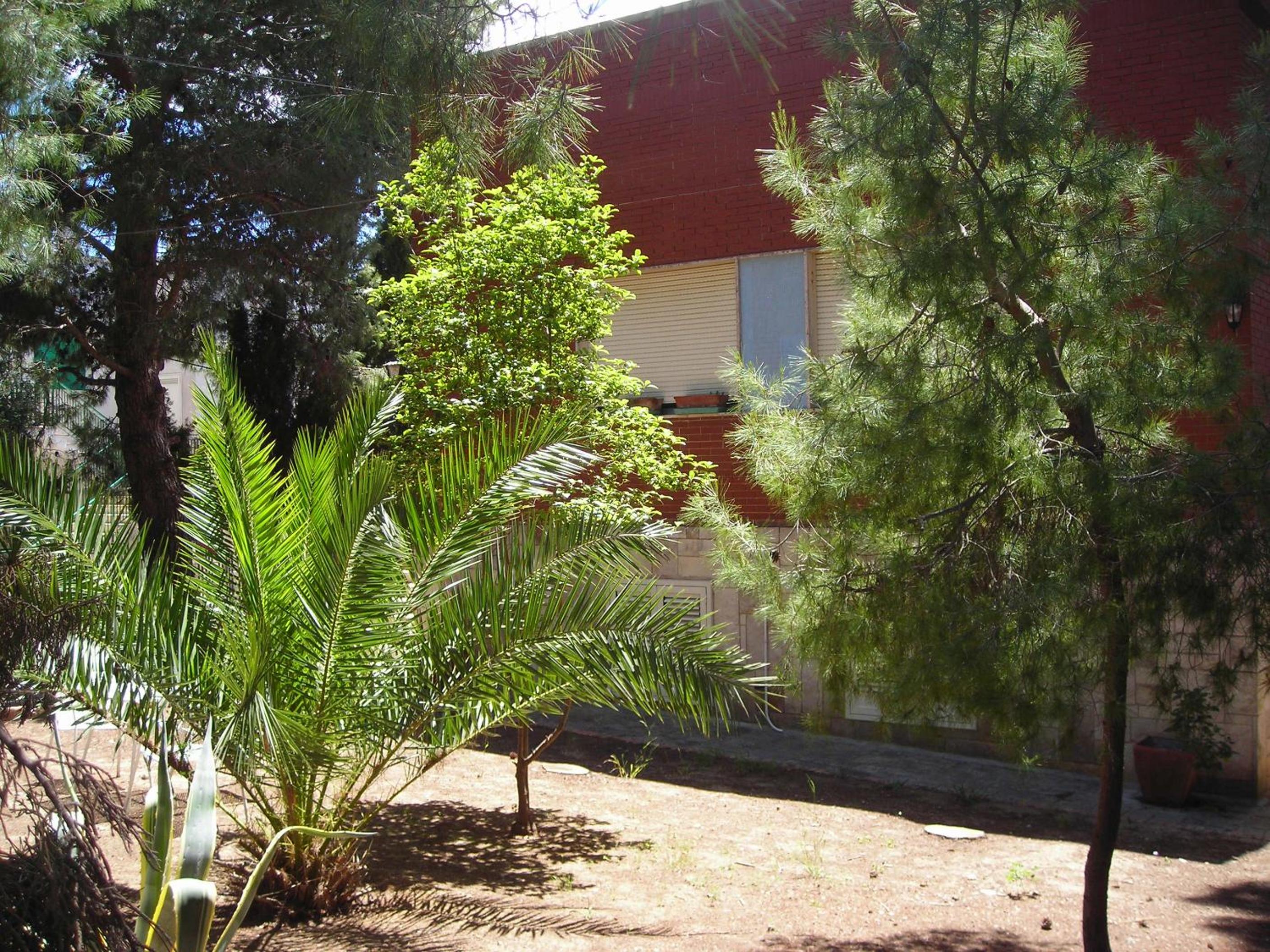 Photo 24