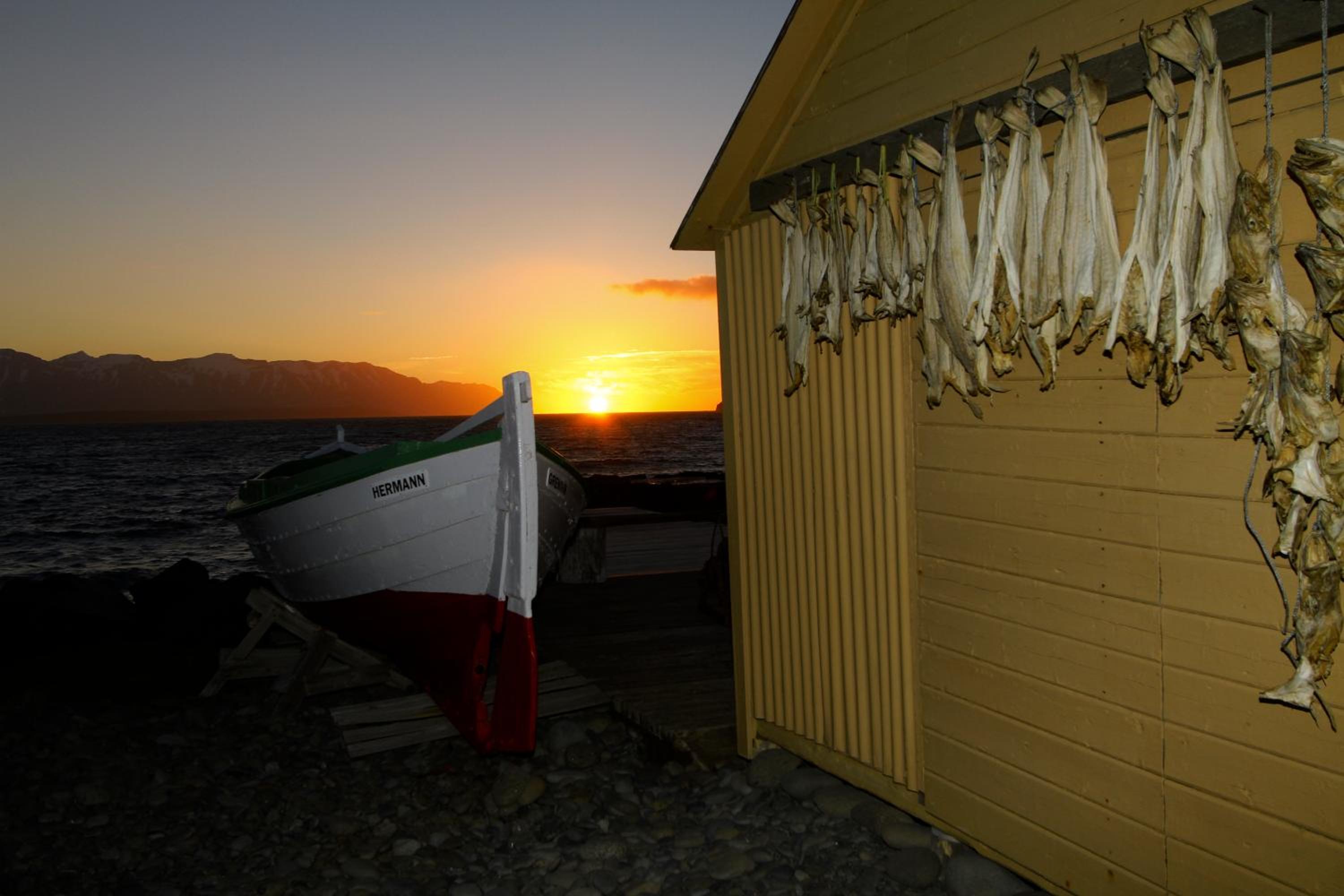 Grenivik Guesthouse