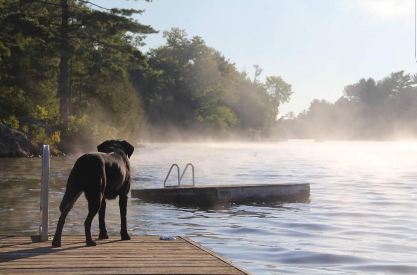 Westwind Inn on the Lake