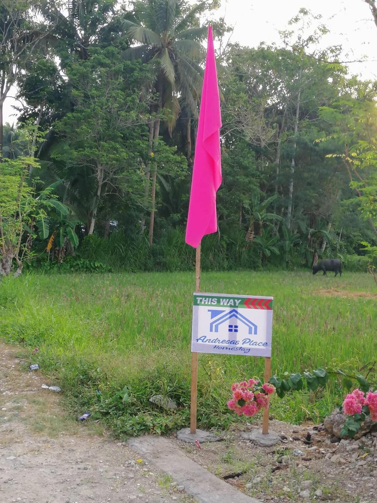 Andresas Homestay