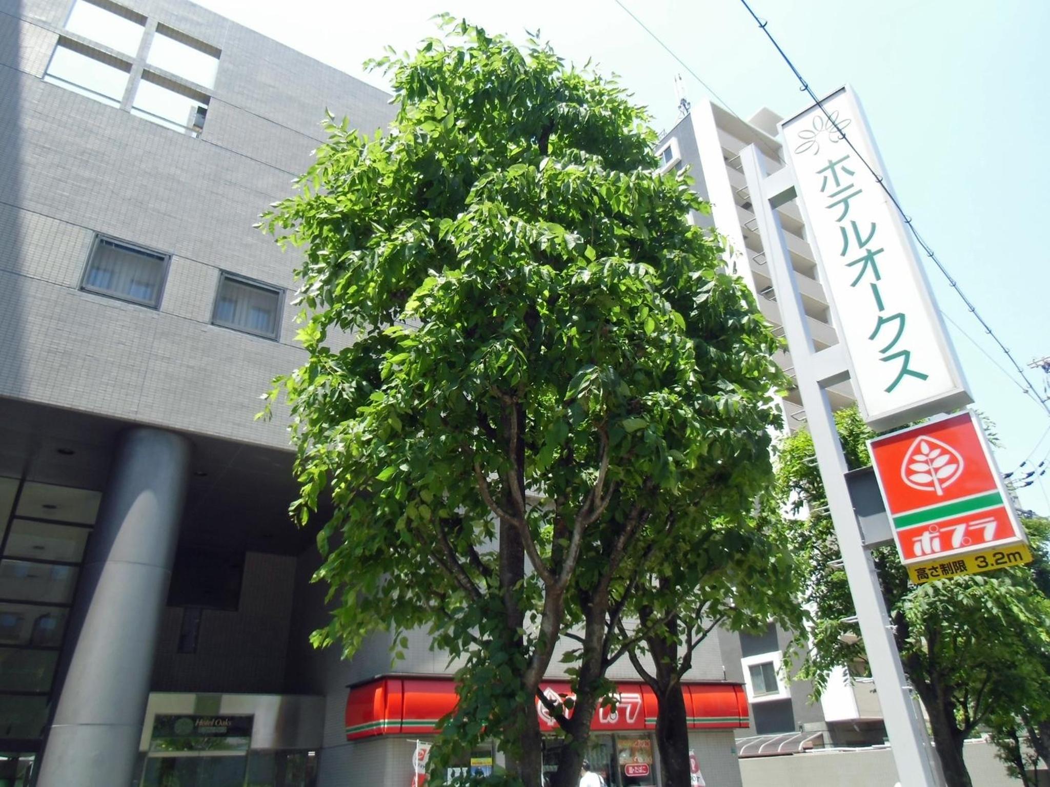 Hotel Oaks Early-Bird Osaka Morinomiya/ Vacation STAY 28691