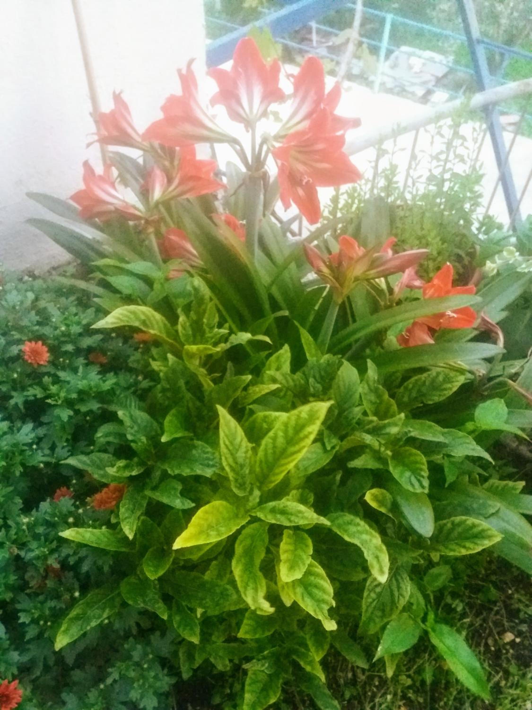Photo 33