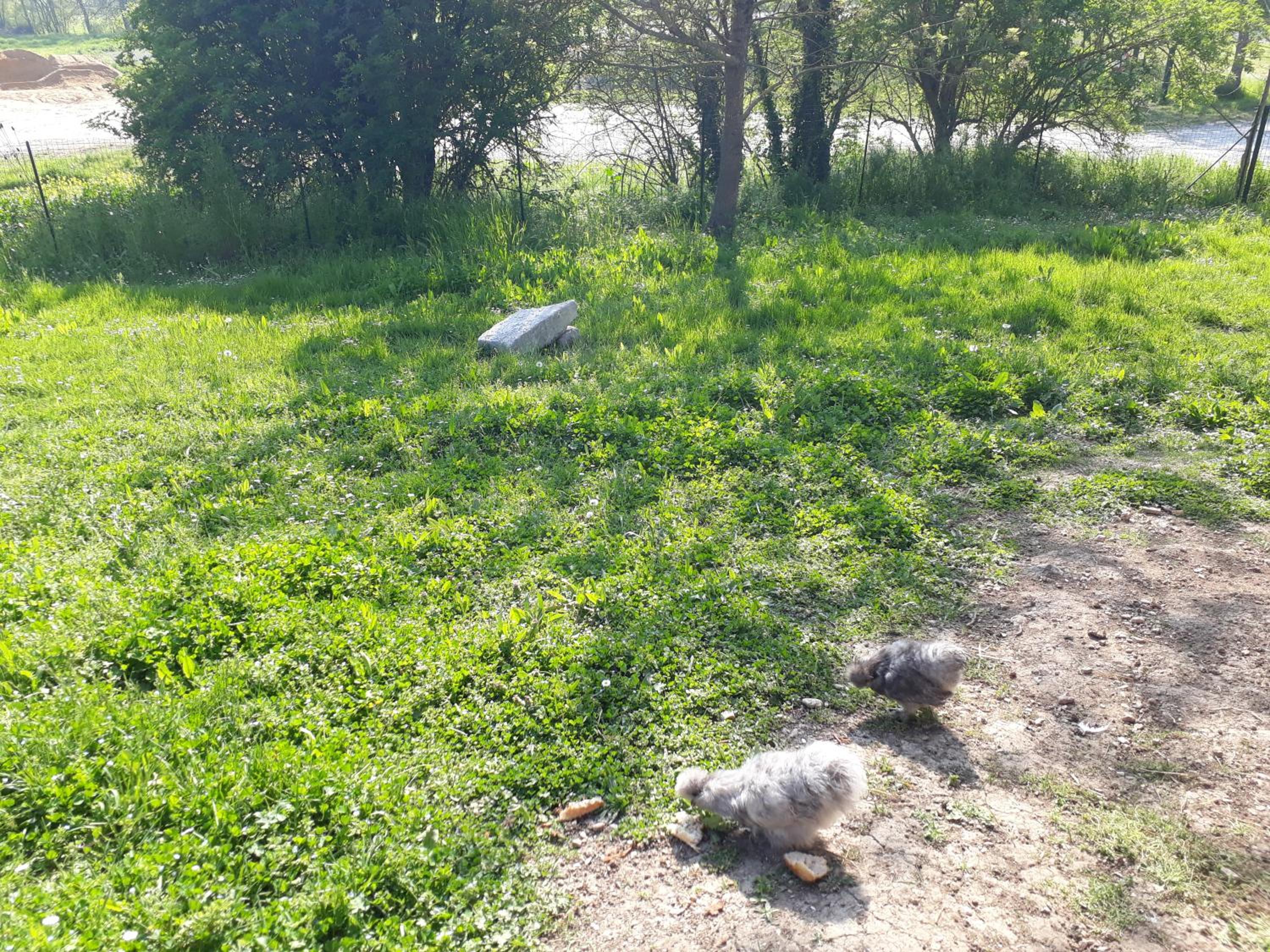 Photo 14